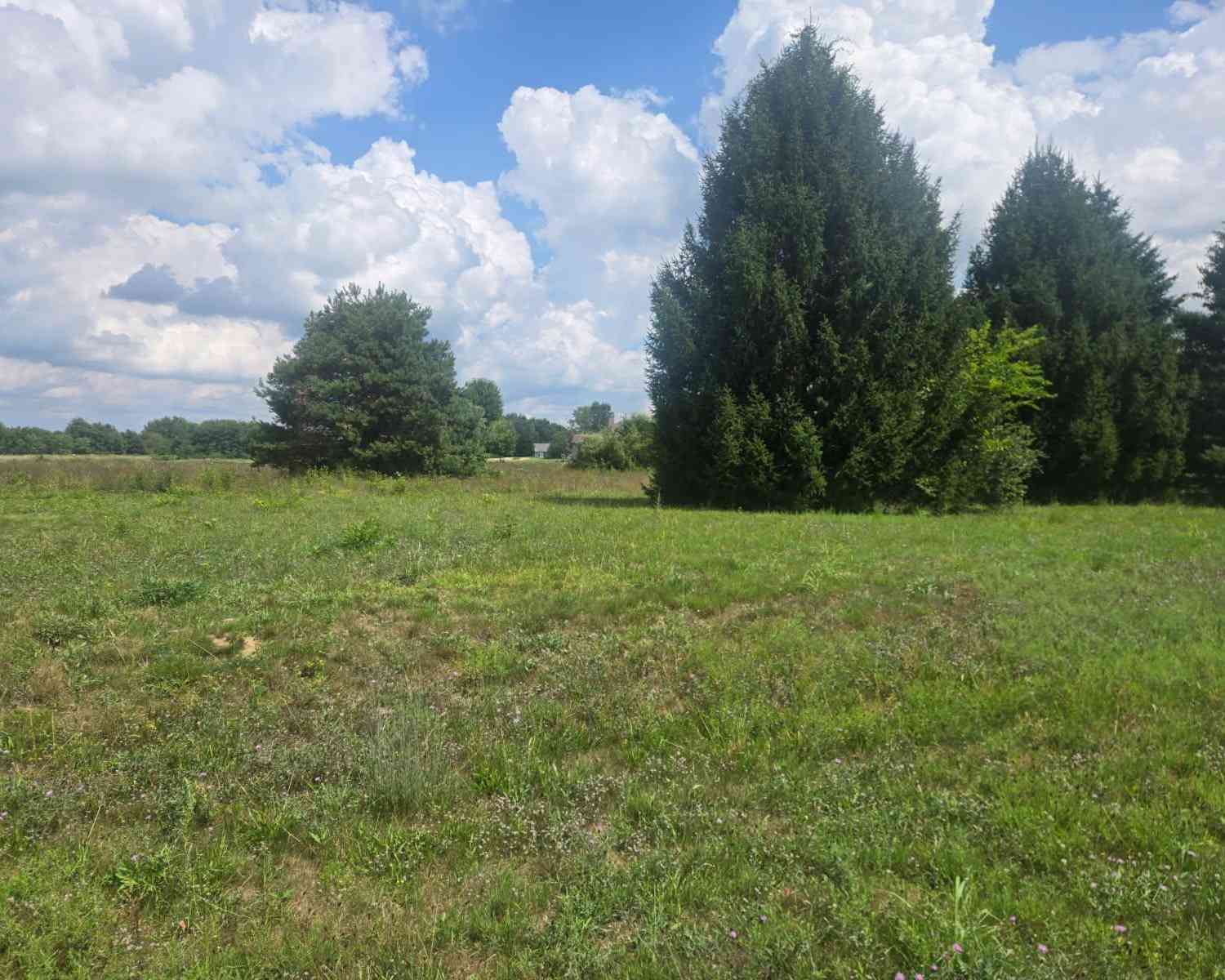 Vacant Land For Sale - V/L 61 Hidden River<br/> Sturgis, MI 49091