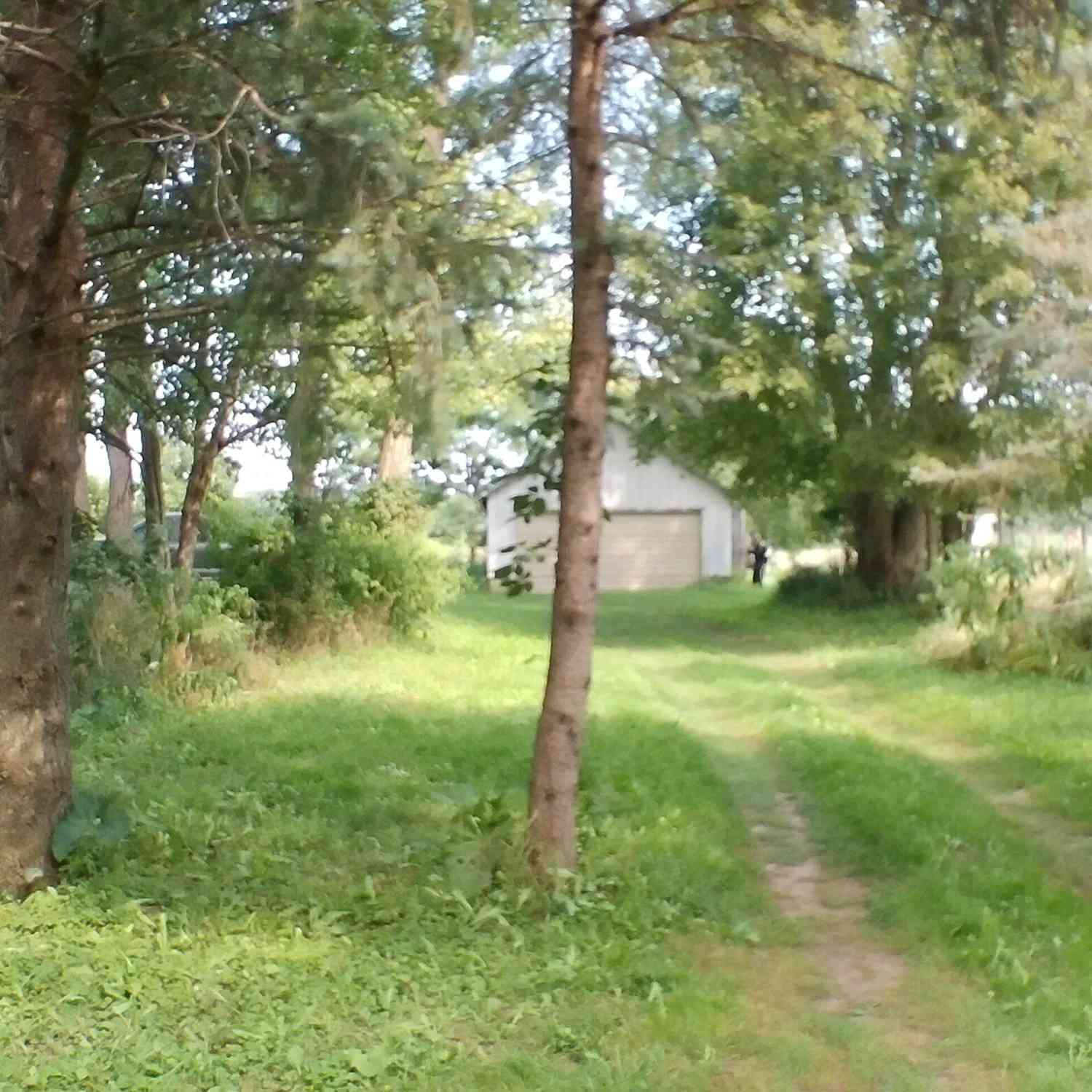 Vacant Land For Sale - Musbach Road<br/> Jackson County, Munith, MI 49259
