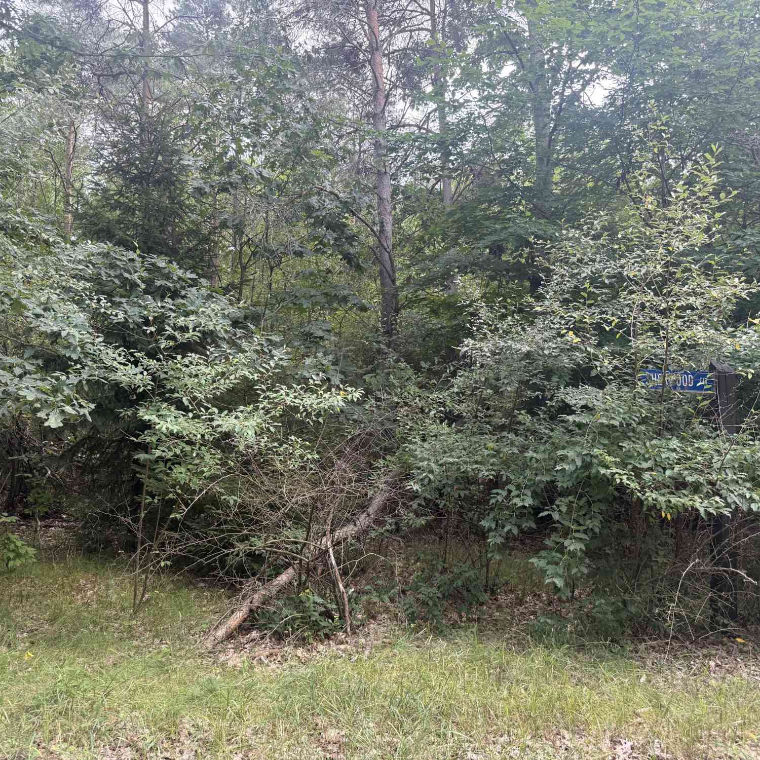 Vacant Land For Sale - 10181 Sherwood Circle #33<br/> Mecosta County, Stanwood, MI 49346