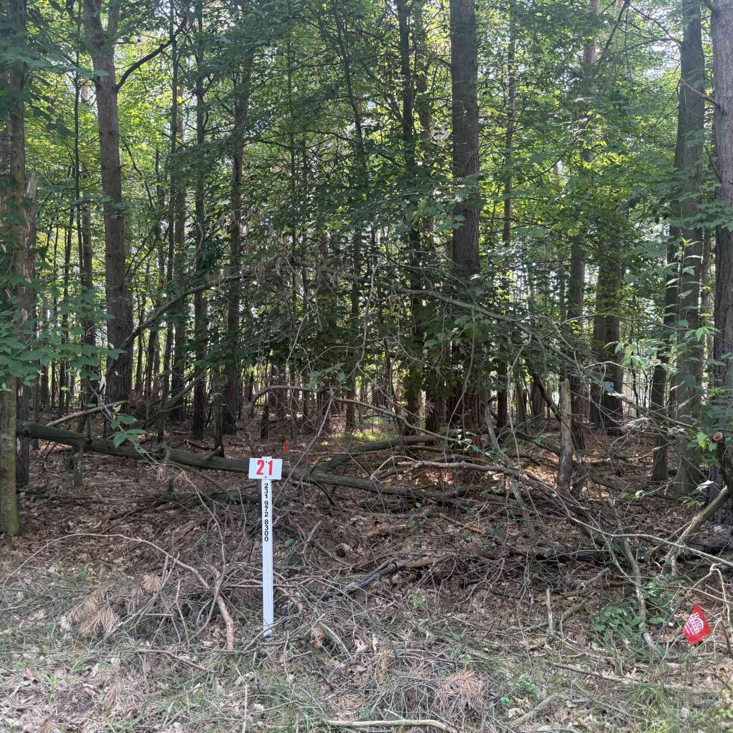 Vacant Land For Sale - 7745 Lakeview Drive<br/> Mecosta County, Stanwood, MI 49346