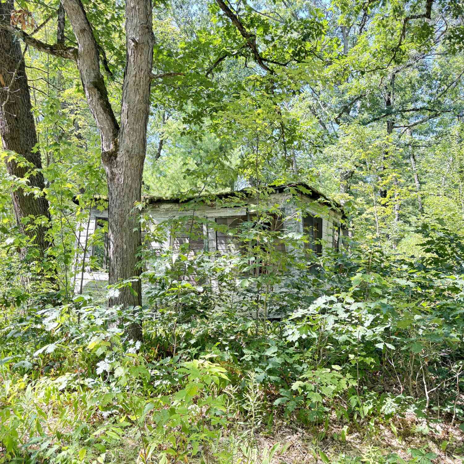 Vacant Land For Sale - 2227 W Oakwood Boulevard<br/> Bitely, MI 49309