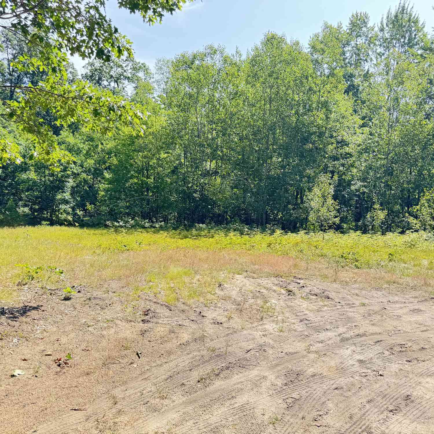 Vacant Land For Sale - VL 10th Avenue<br/> Bitely, MI 49309