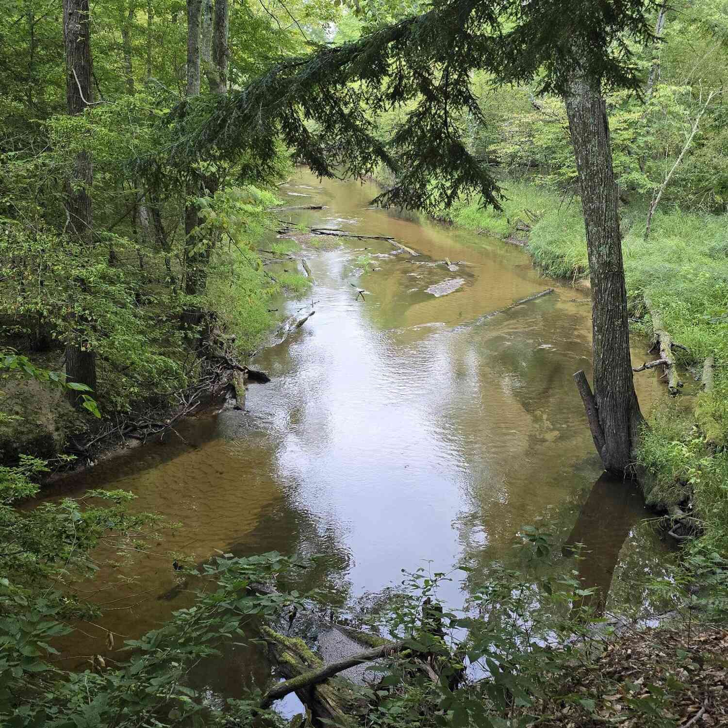 Vacant Land For Sale - 610 W Millerton Road<br/> Scottville, MI 49454