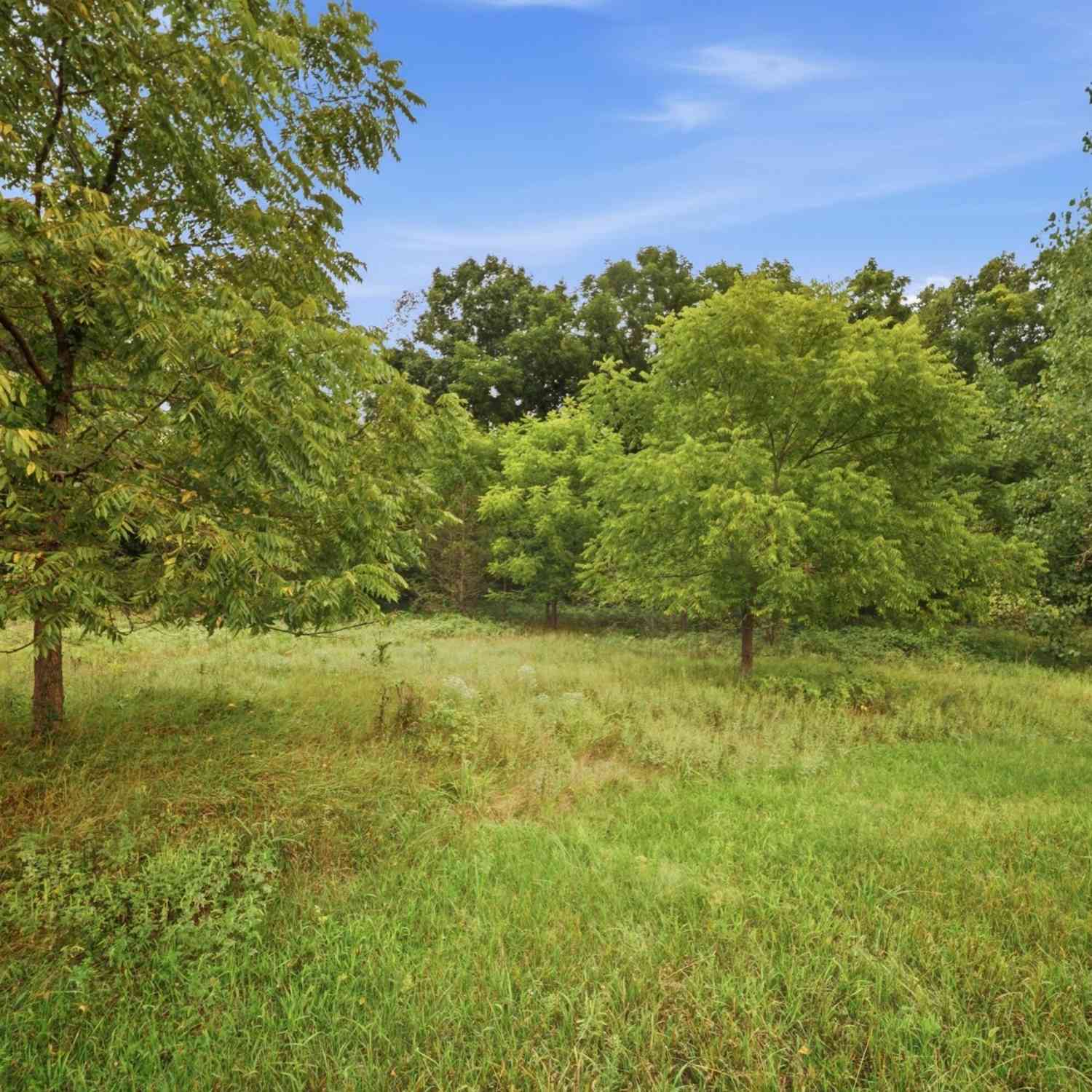 Vacant Land For Sale - Snowy Pine Drive<br/> Eaton County, Charlotte, MI 48813