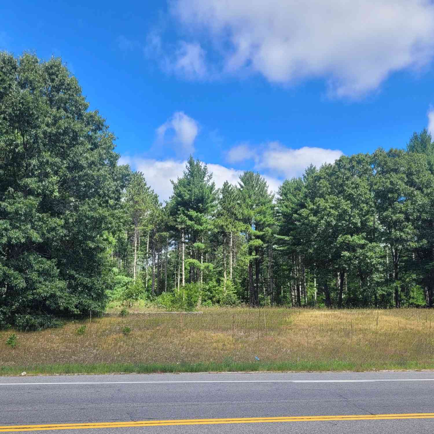 Vacant Land For Sale - Howard City Edmore Road<br/> Montcalm County, Howard City, MI 49329