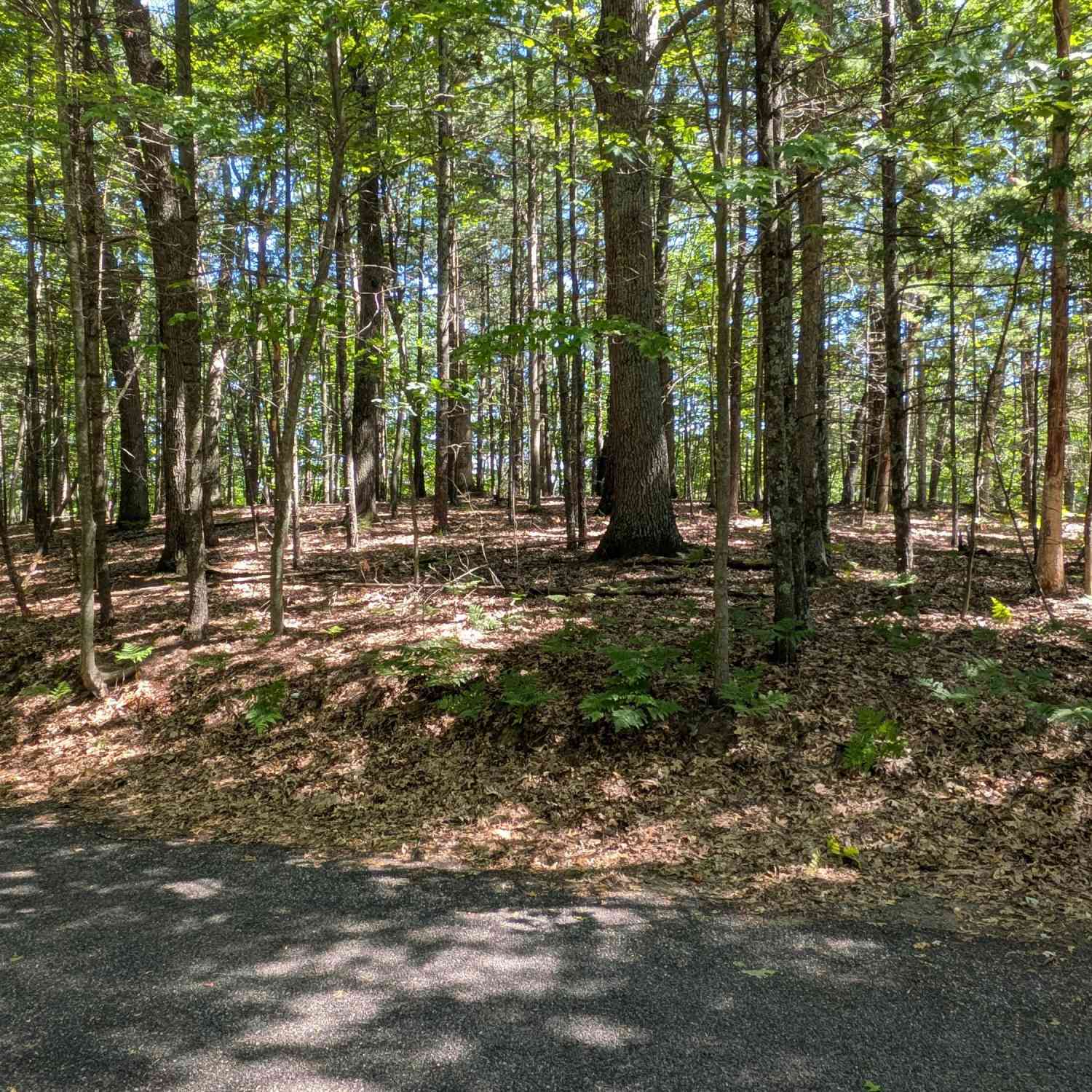 Vacant Land For Sale - Ottawa Lane #LOT 50<br/> Oceana County, Pentwater, MI 49449