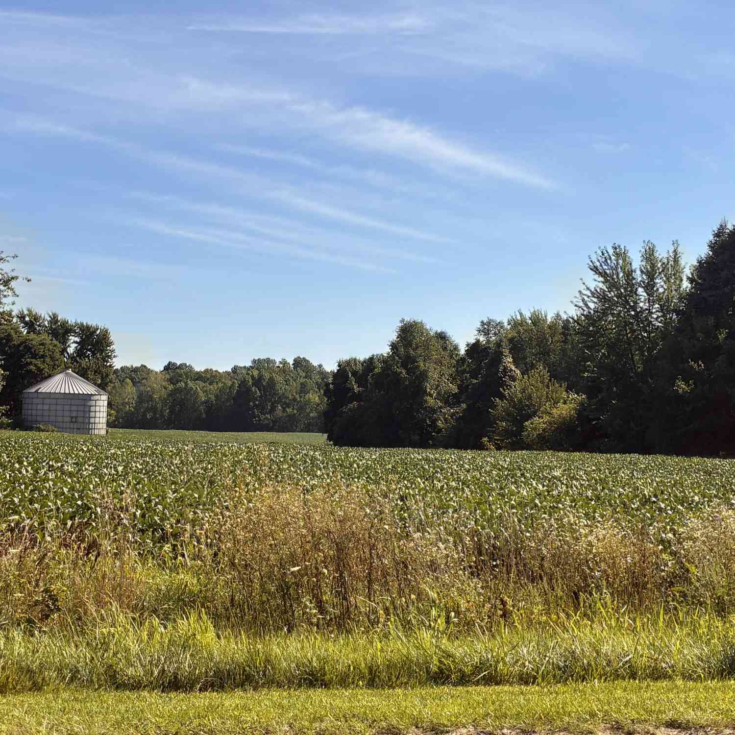 Vacant Land For Sale - W County Road 365<br/> Van Buren County, Lawrence, MI 49064