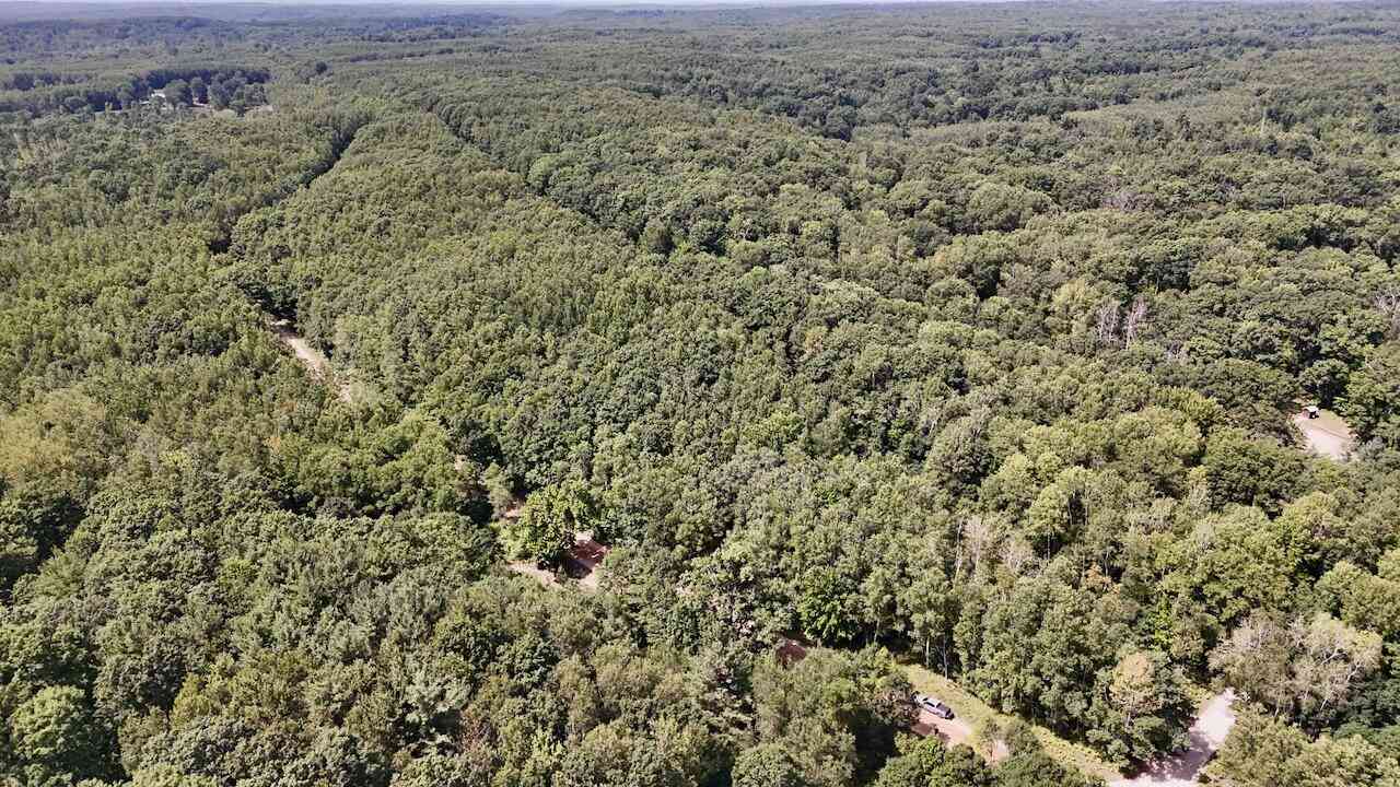 Vacant Land For Sale - 00 7 Mile Road<br/> Osceola County, Evart, MI 49631
