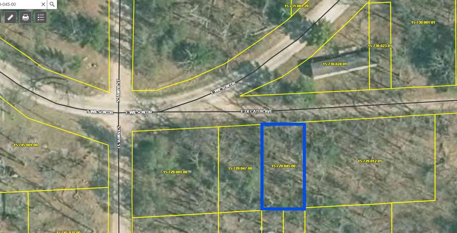 Vacant Land For Sale - V/L E Decatur<br/> Lake County, Idlewild, MI 49642