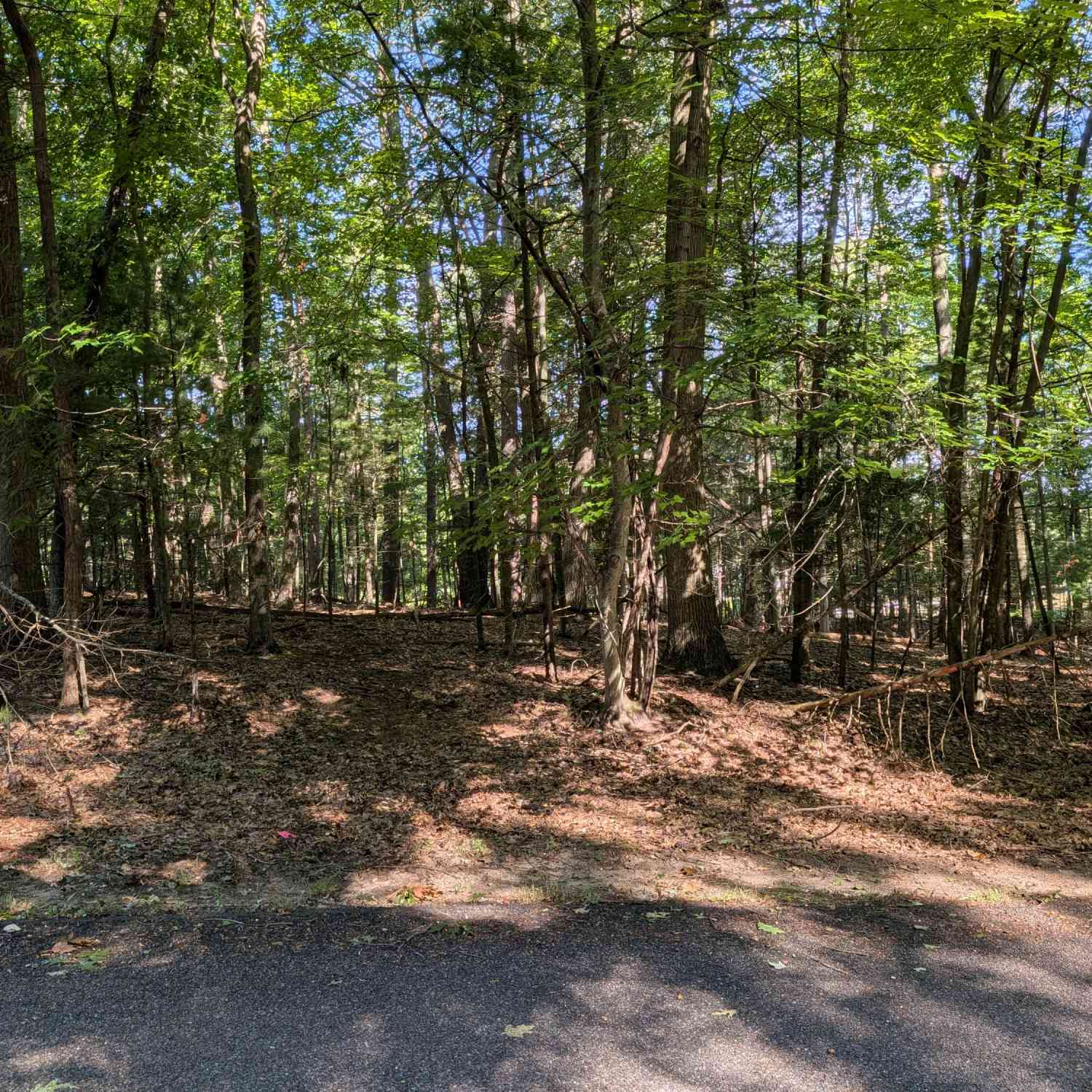 Vacant Land For Sale - W Shawnee Road #LOT 121<br/> Oceana County, Pentwater, MI 49449