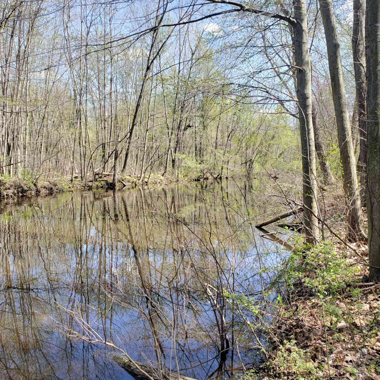 Vacant Land For Sale - 5295 N Watervliet Road<br/> Berrien County, Watervliet, MI 49098
