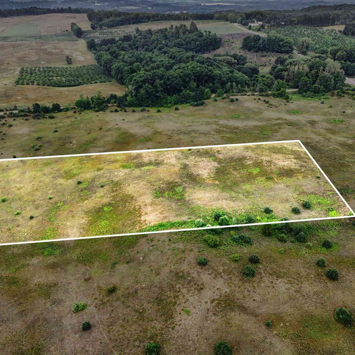 Vacant Land For Sale - PARCEL G Water Road<br/> Hart, MI 49420