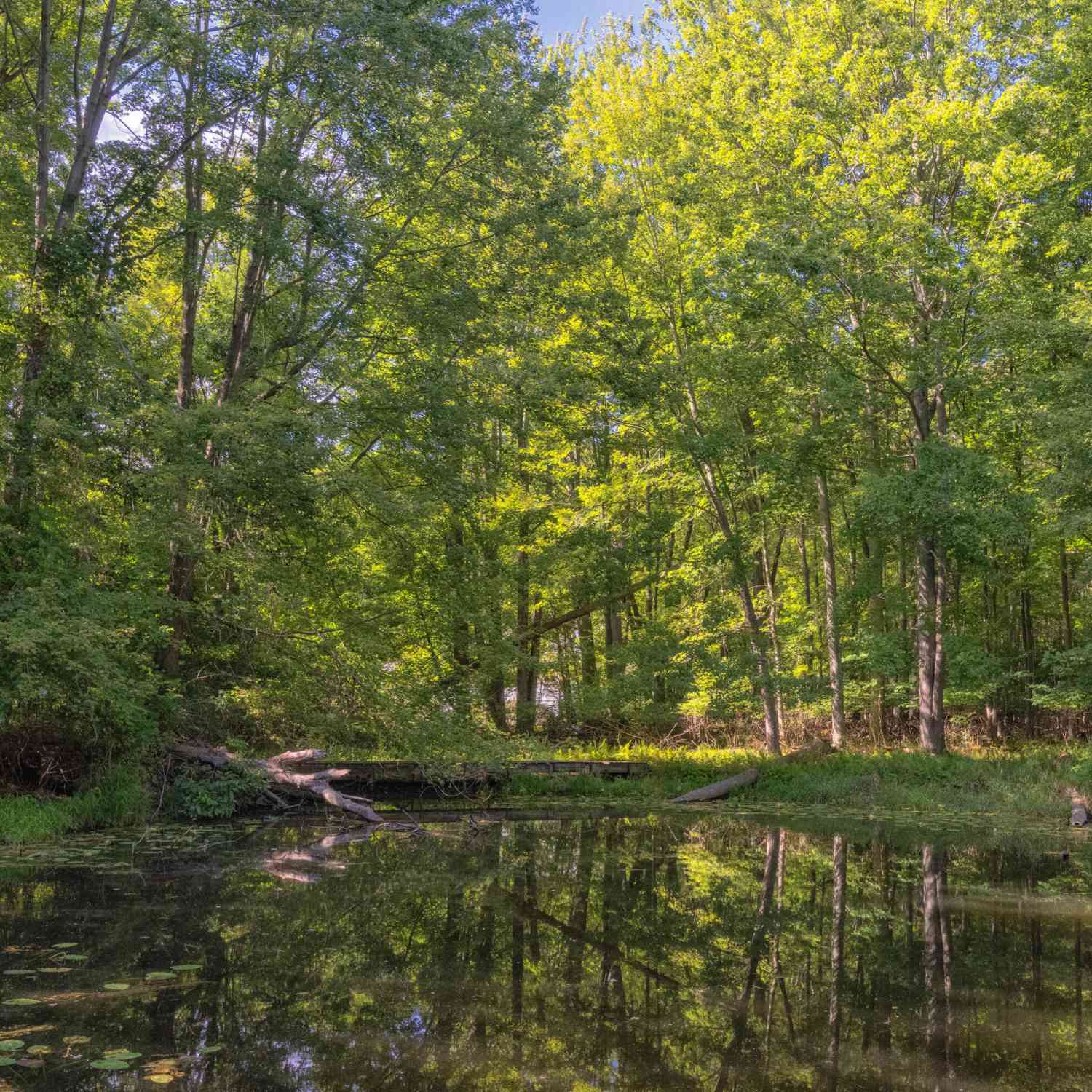 Vacant Land For Sale - 6985 124th Avenue #PARCEL C<br/> Allegan County, Fennville, MI 49408