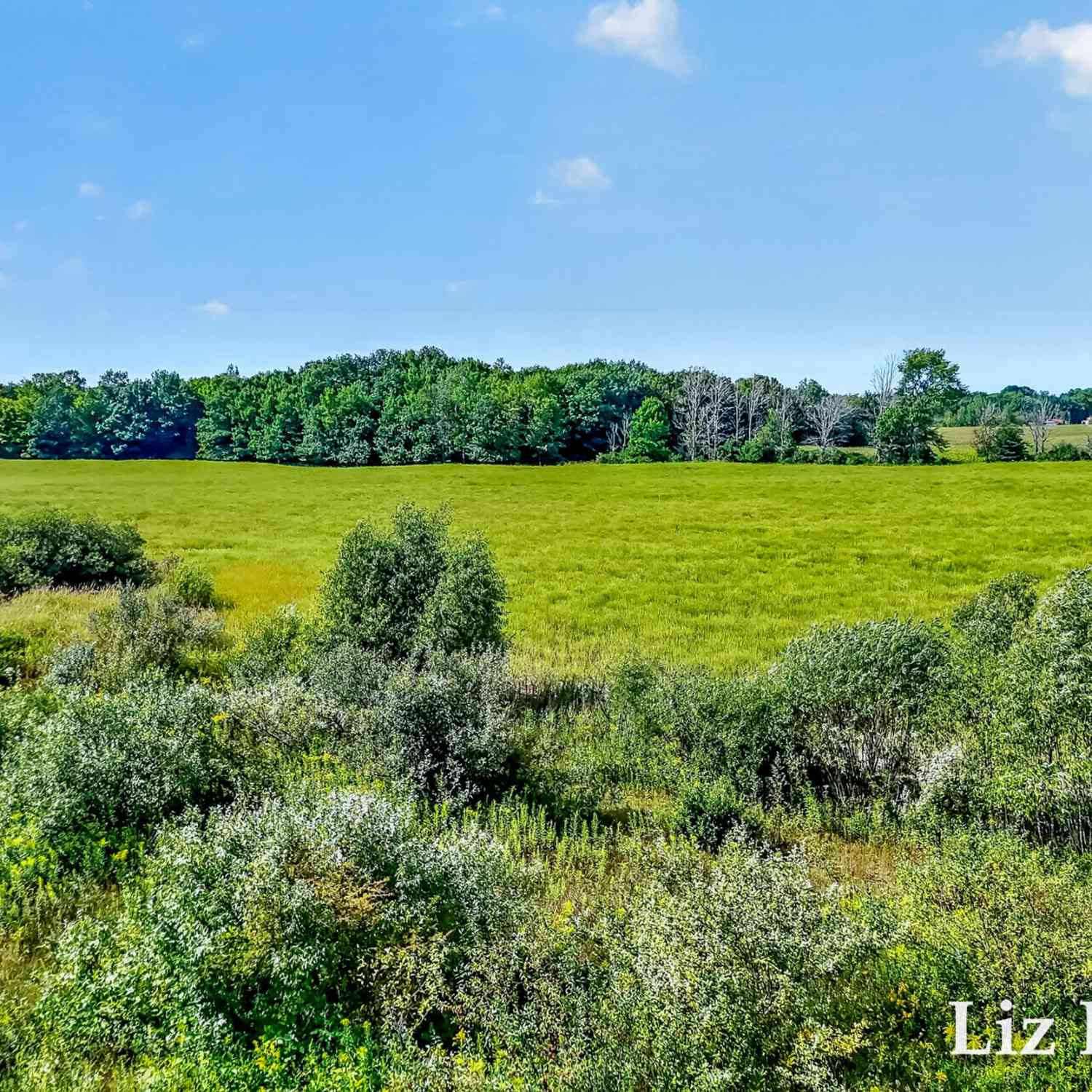 Vacant Land For Sale - VL S 56th Avenue<br/> Montague, MI 49437