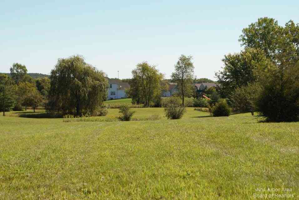 Vacant Land For Sale - 11490 Castleton Court<br/> Washtenaw County, Dexter, MI 48130