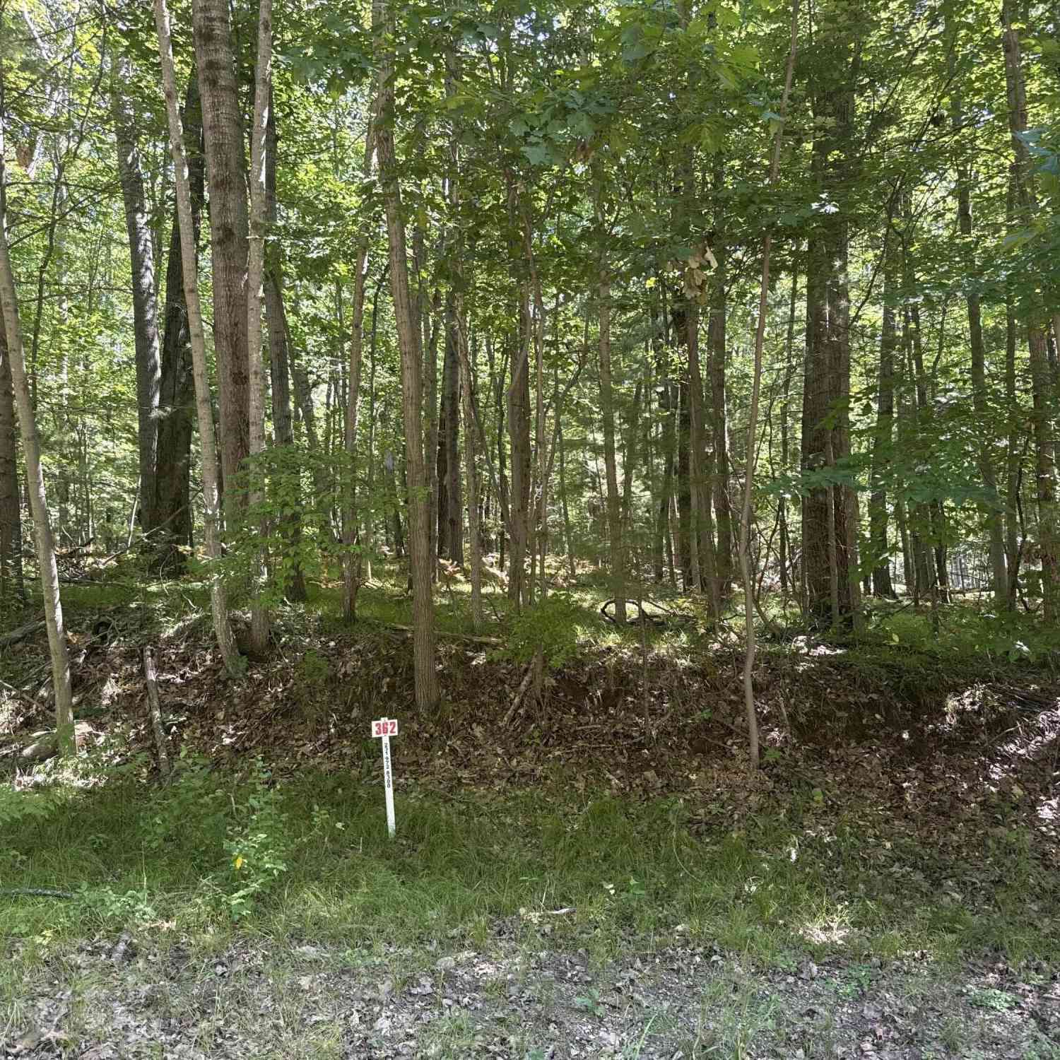 Vacant Land For Sale - 8278 Highland Trail<br/> Mecosta County, Stanwood, MI 49346