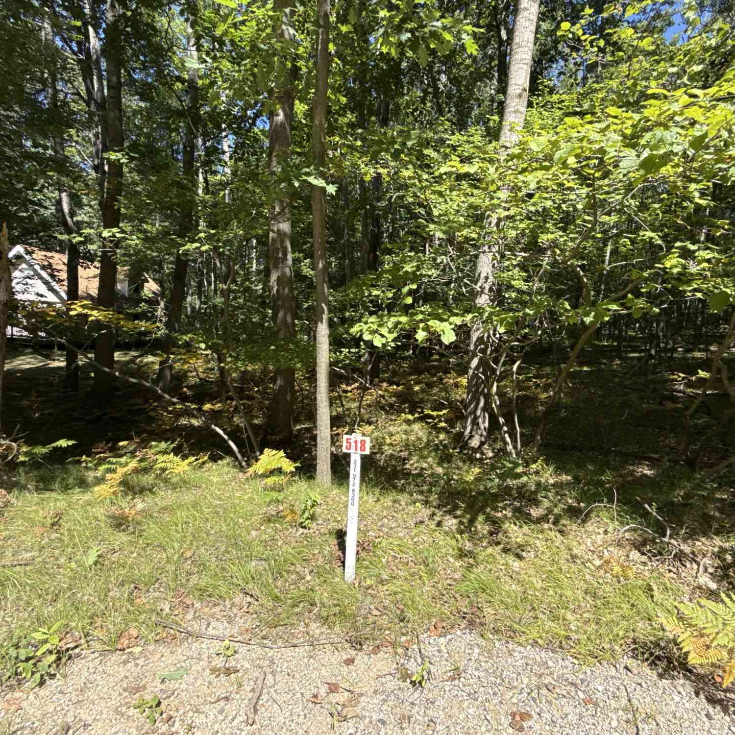 Vacant Land For Sale - 12090 Dubois Drive<br/> Mecosta County, Stanwood, MI 49346