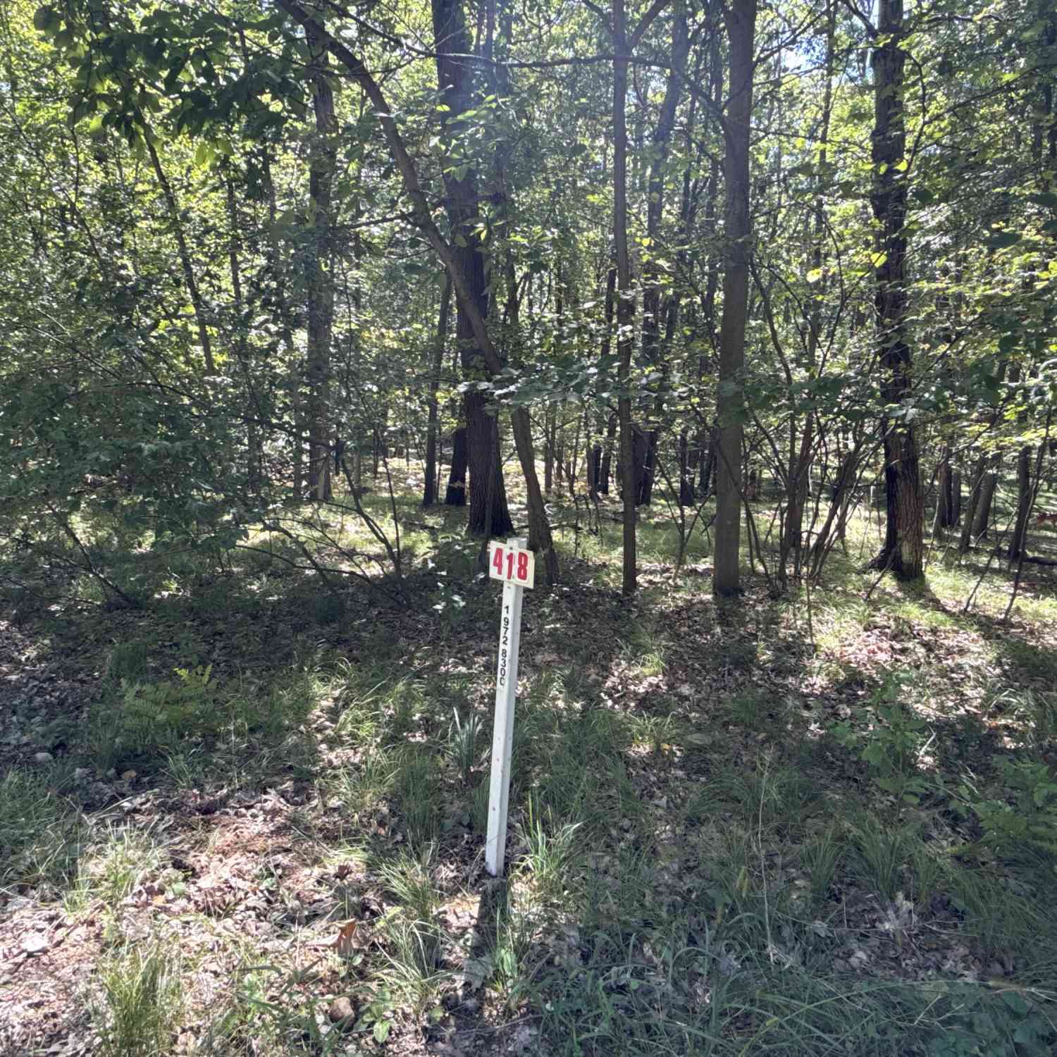 Vacant Land For Sale - 12075 Halifax Drive #418<br/> Mecosta County, Stanwood, MI 49346