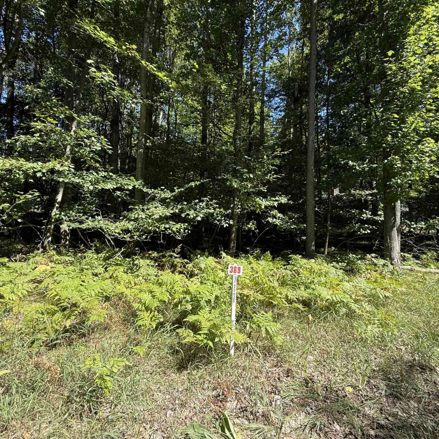 Vacant Land For Sale - 12100 Belle Isle Drive #369<br/> Mecosta County, Stanwood, MI 49346