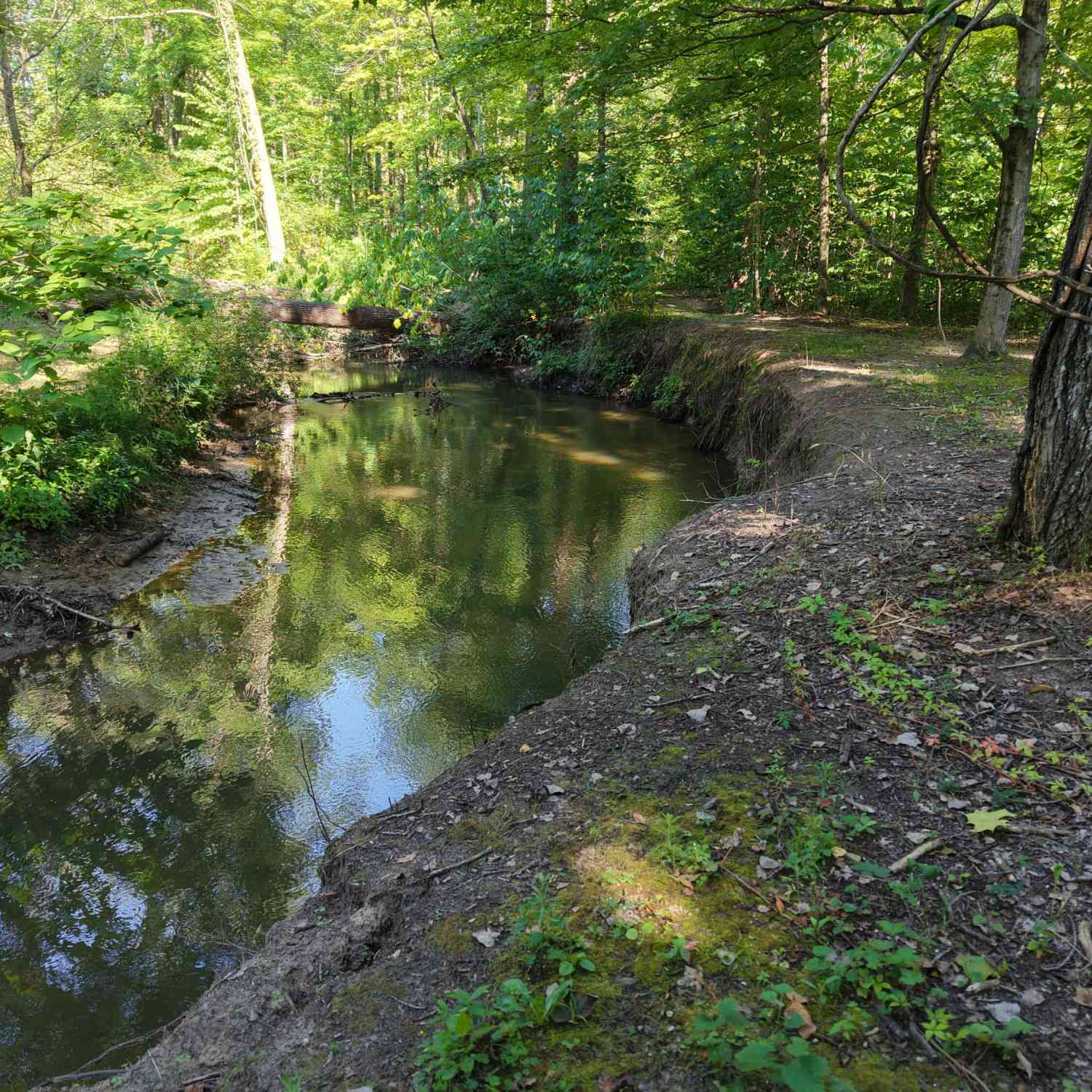 Vacant Land For Sale - 8040 W Martin Road<br/> Three Oaks, MI 49128