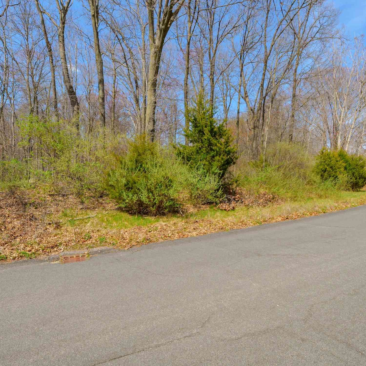 Vacant Land For Sale - 4331 Stony Avenue<br/> Kalamazoo County, Kalamazoo, MI 49004