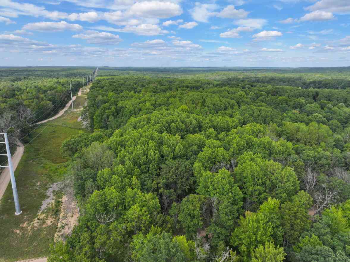 Vacant Land For Sale - V/L 13.06A E 84th St<br/> Lake County, Reed City, MI 49677