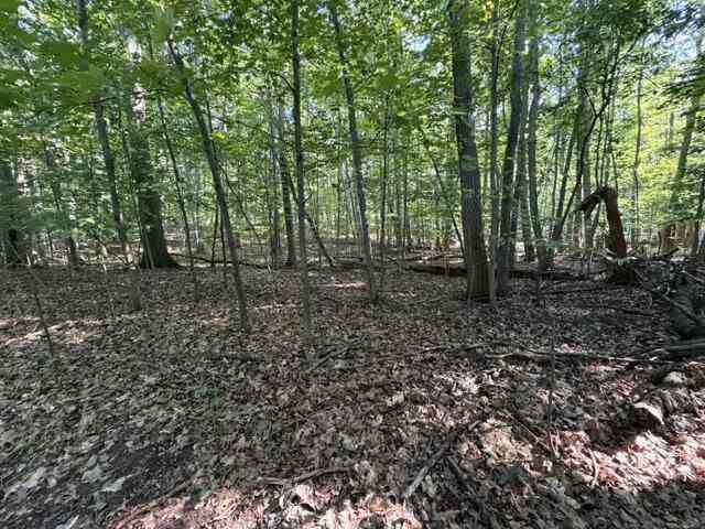Vacant Land For Sale - W Cherry Street<br/> Mason County, Ludington, MI 49431