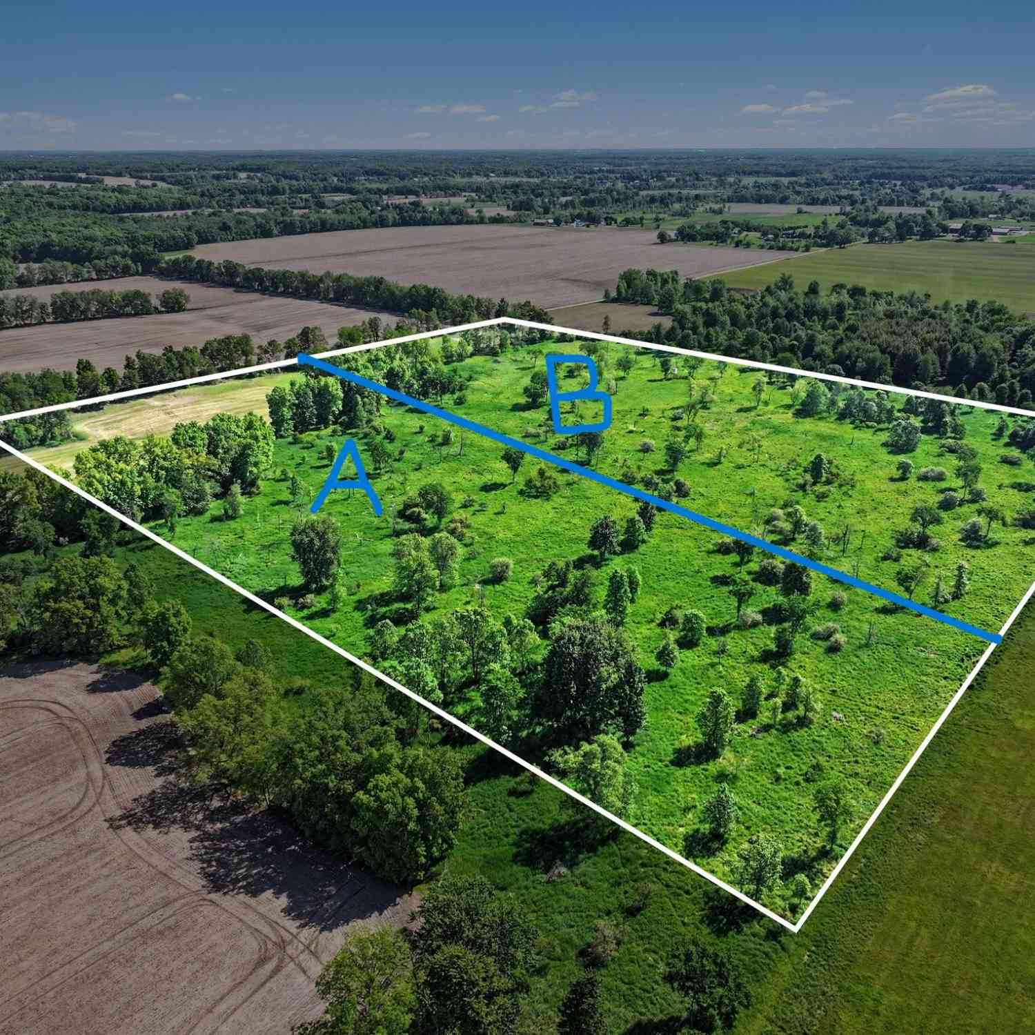 Vacant Land For Sale - 0 V/L E Charles Road #PARCEL A<br/> Ionia County, Ionia, MI 48846