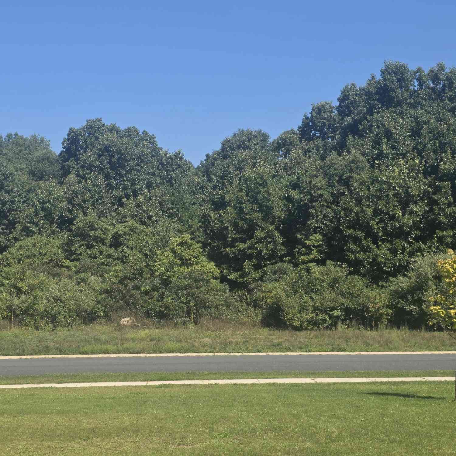 Vacant Land For Sale - 10599 Mystic Heights Trail #20<br/> Kalamazoo County, Kalamazoo, MI 49071