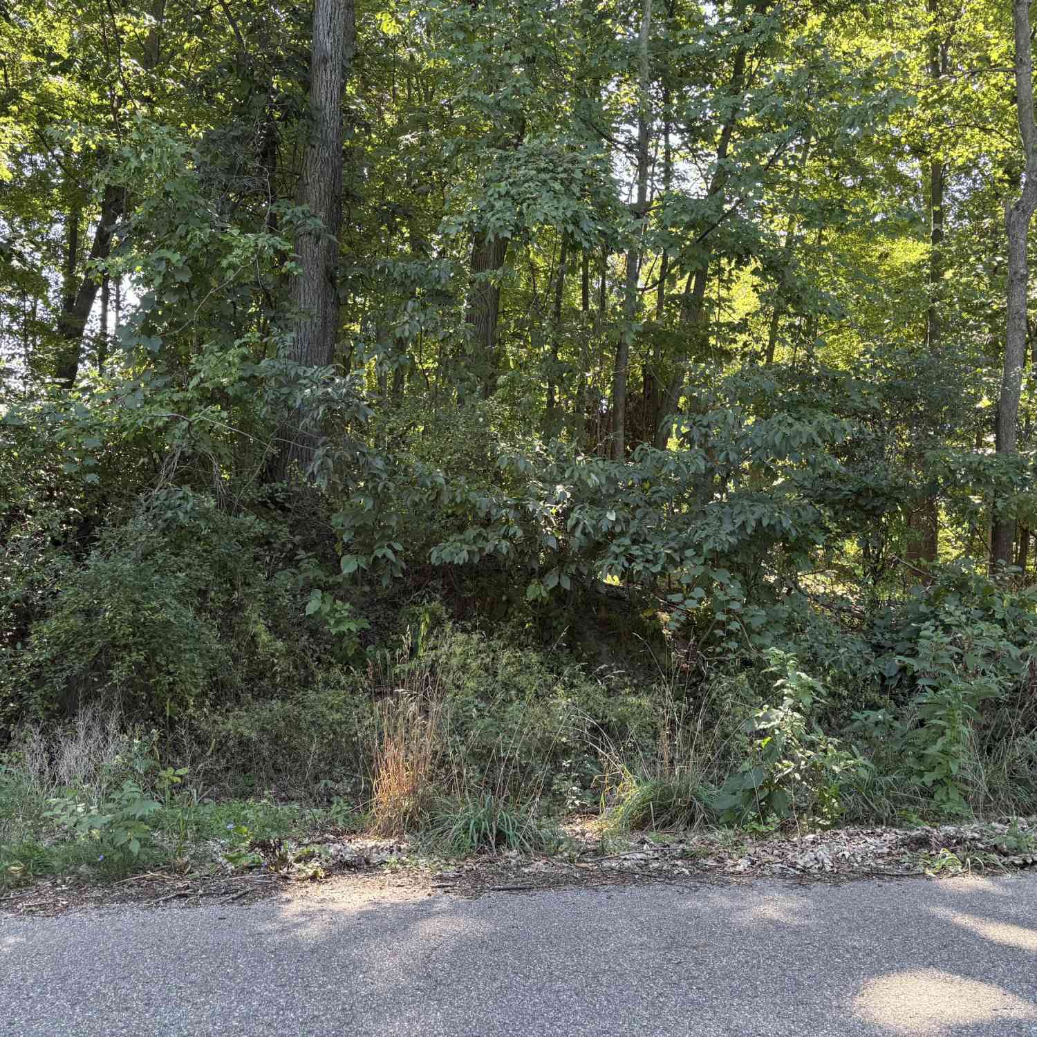 Vacant Land For Sale - 2610 Parkview Avenue<br/> Kalamazoo, MI 49008