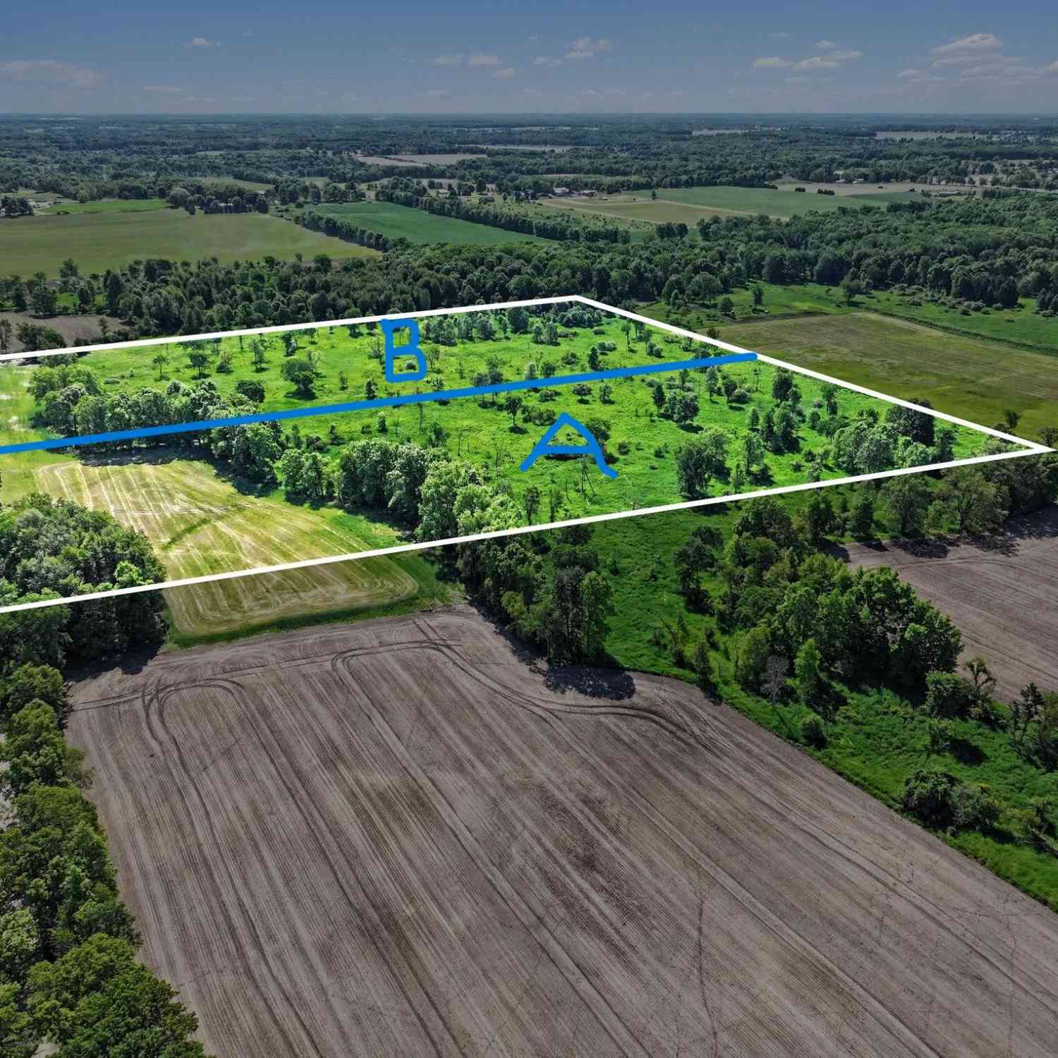 Vacant Land For Sale - 0 V/L E Charles Road #PARCEL B<br/> Ionia County, Ionia, MI 48846
