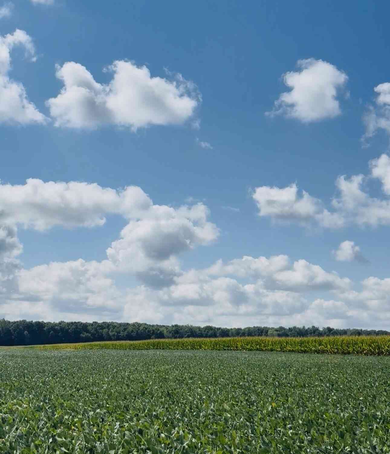 Vacant Land For Sale - Ditch Road<br/> Saginaw County, Chesaning, MI 48616