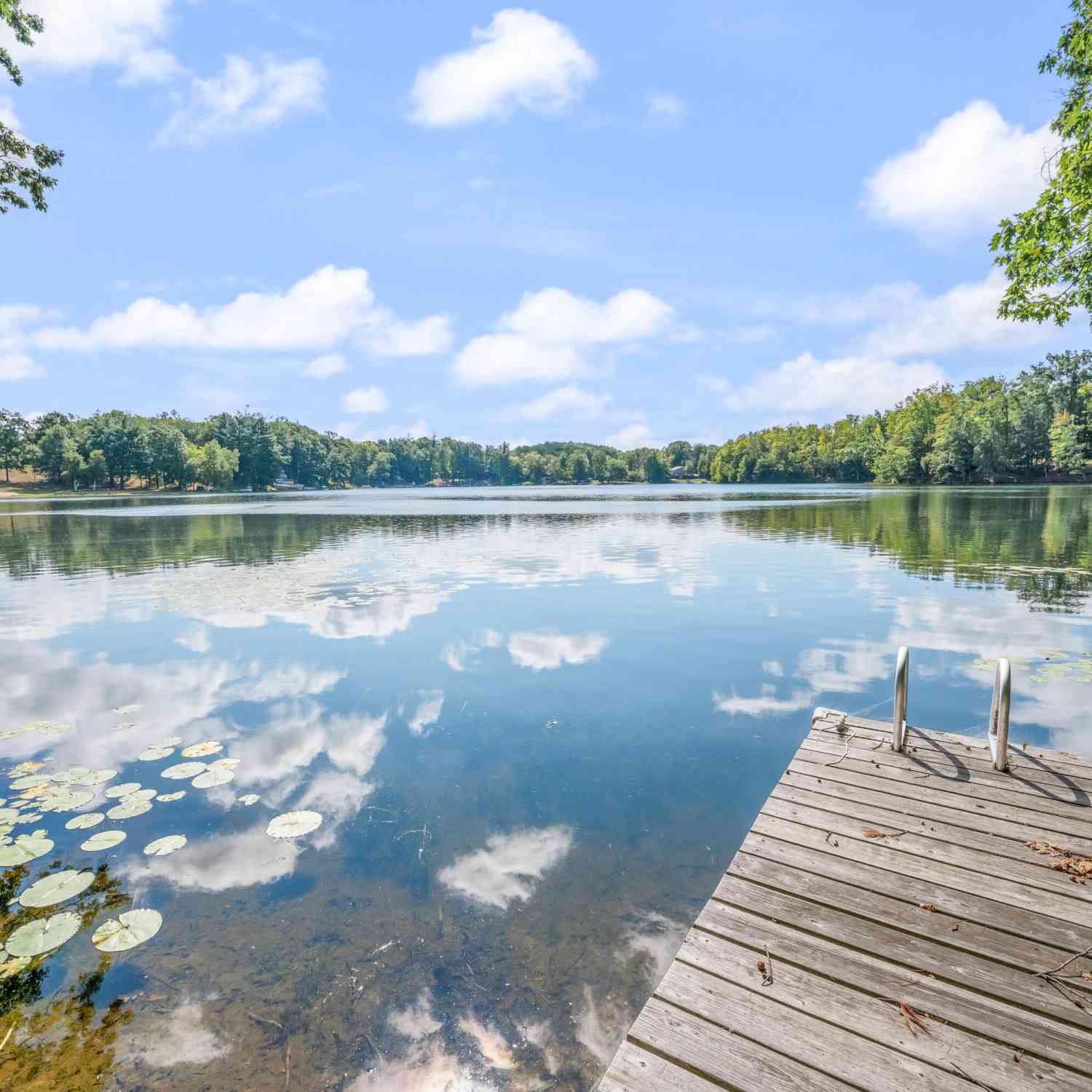 Homes For Sale - 524 Mclachlan Point Road<br/> Osceola County, Evart, MI 49631
