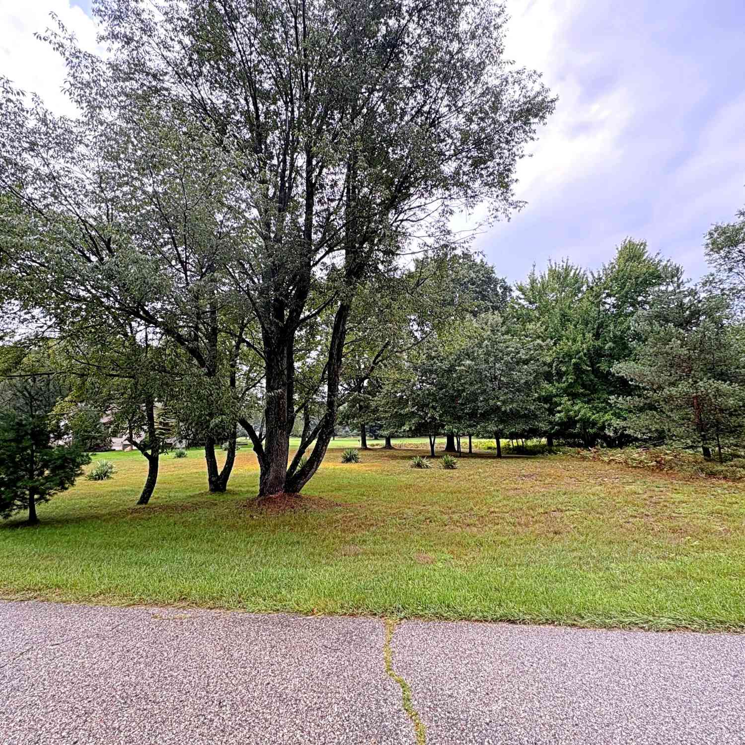 Vacant Land For Sale - 7404 Regency Lane #LOT 183<br/> Stanwood, MI 49346