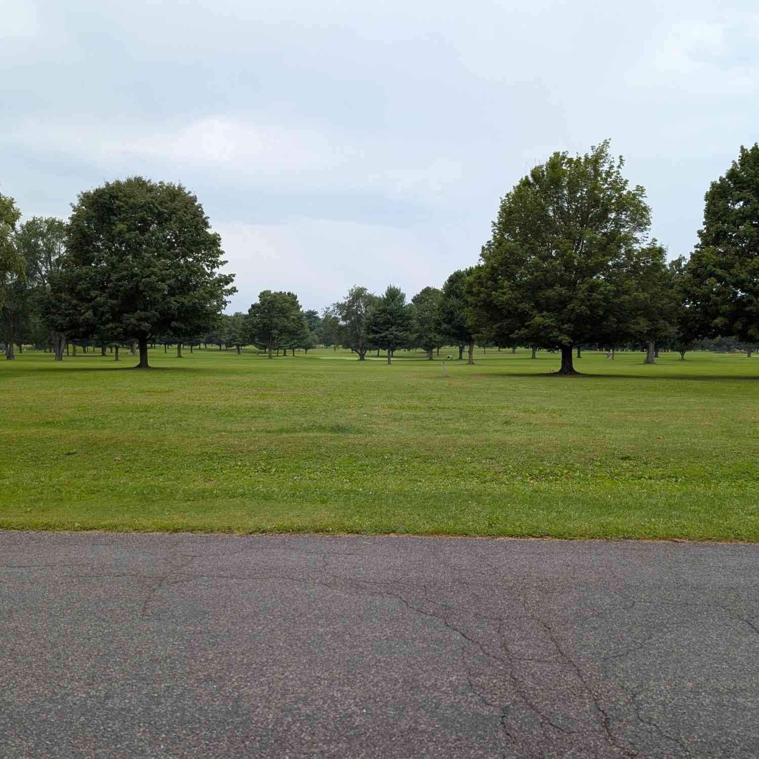Vacant Land For Sale - V/L Woodland Drive<br/> Dowagiac, MI 49047