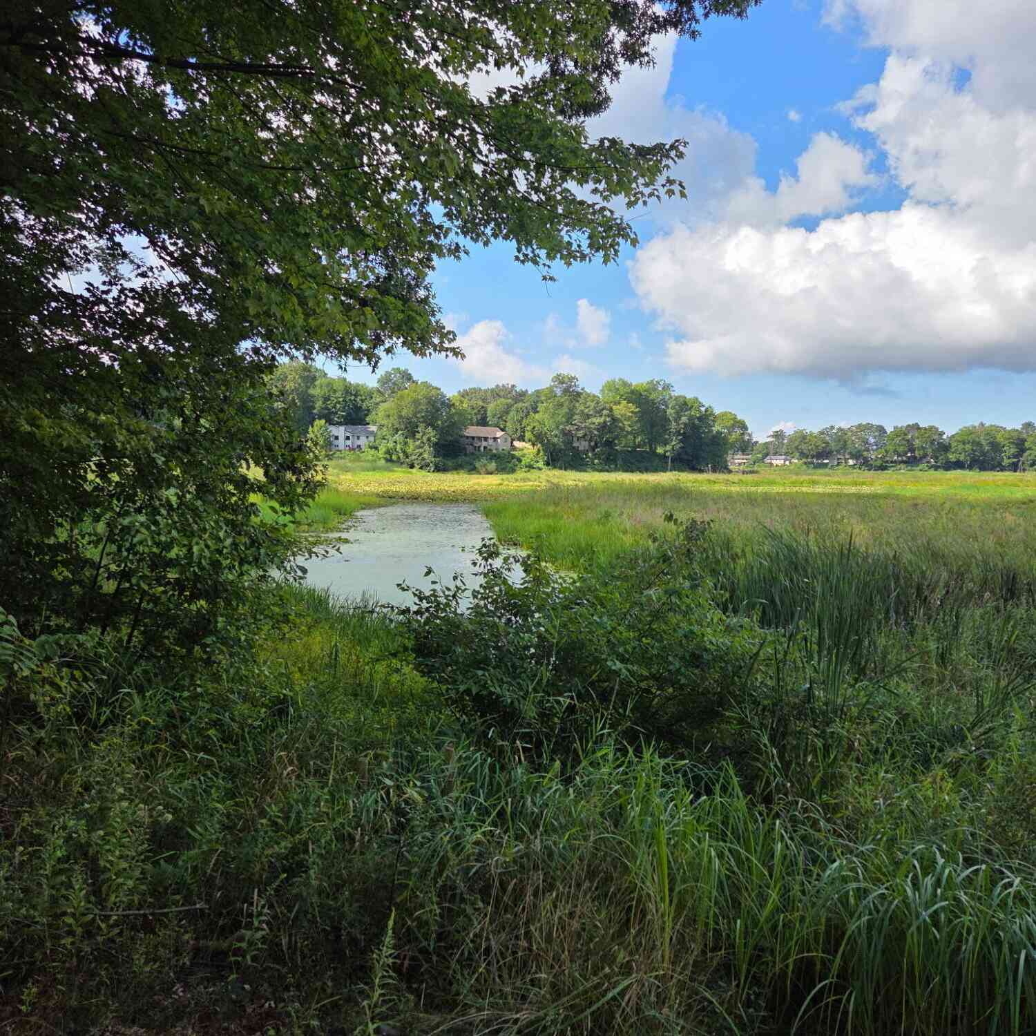 Vacant Land For Sale - 6695 S Brooks Road<br/> Fruitport, MI 49415