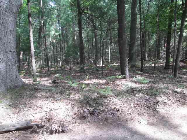 Vacant Land For Sale - Victoria Boulevard #B 2<br/> Oceana County, Pentwater, MI 49449