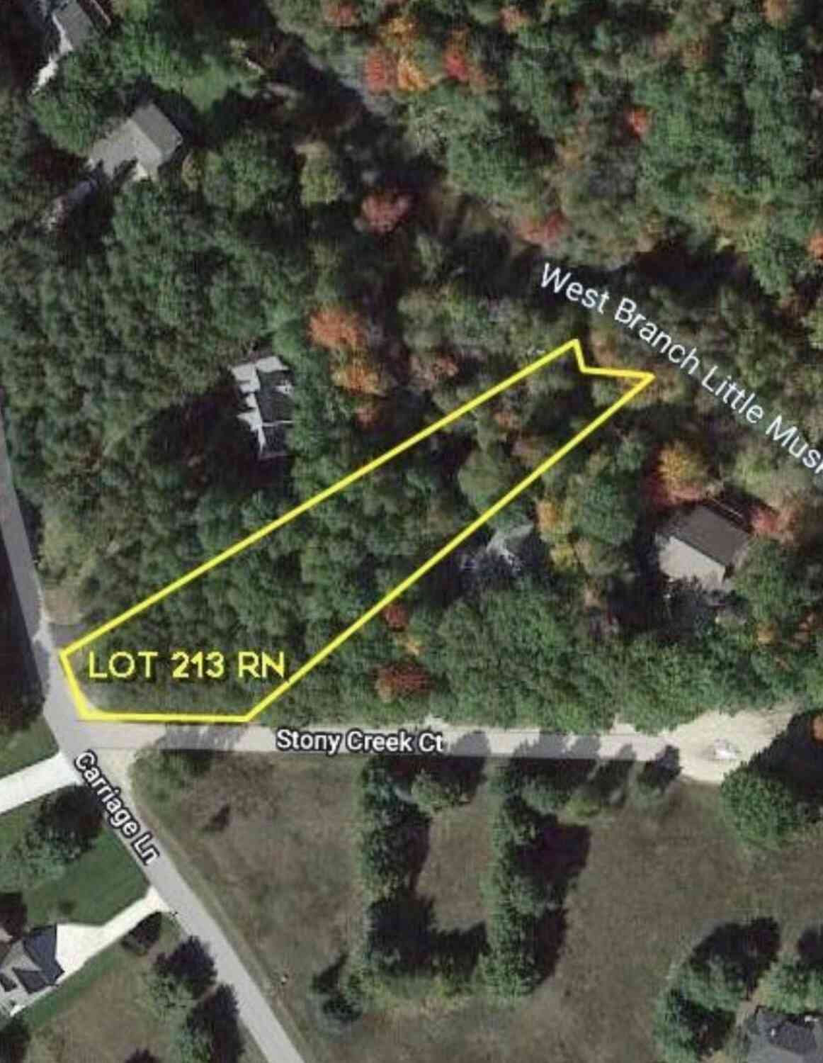 Vacant Land For Sale - 9750 Stony Creek Court<br/> Stanwood, MI 49346