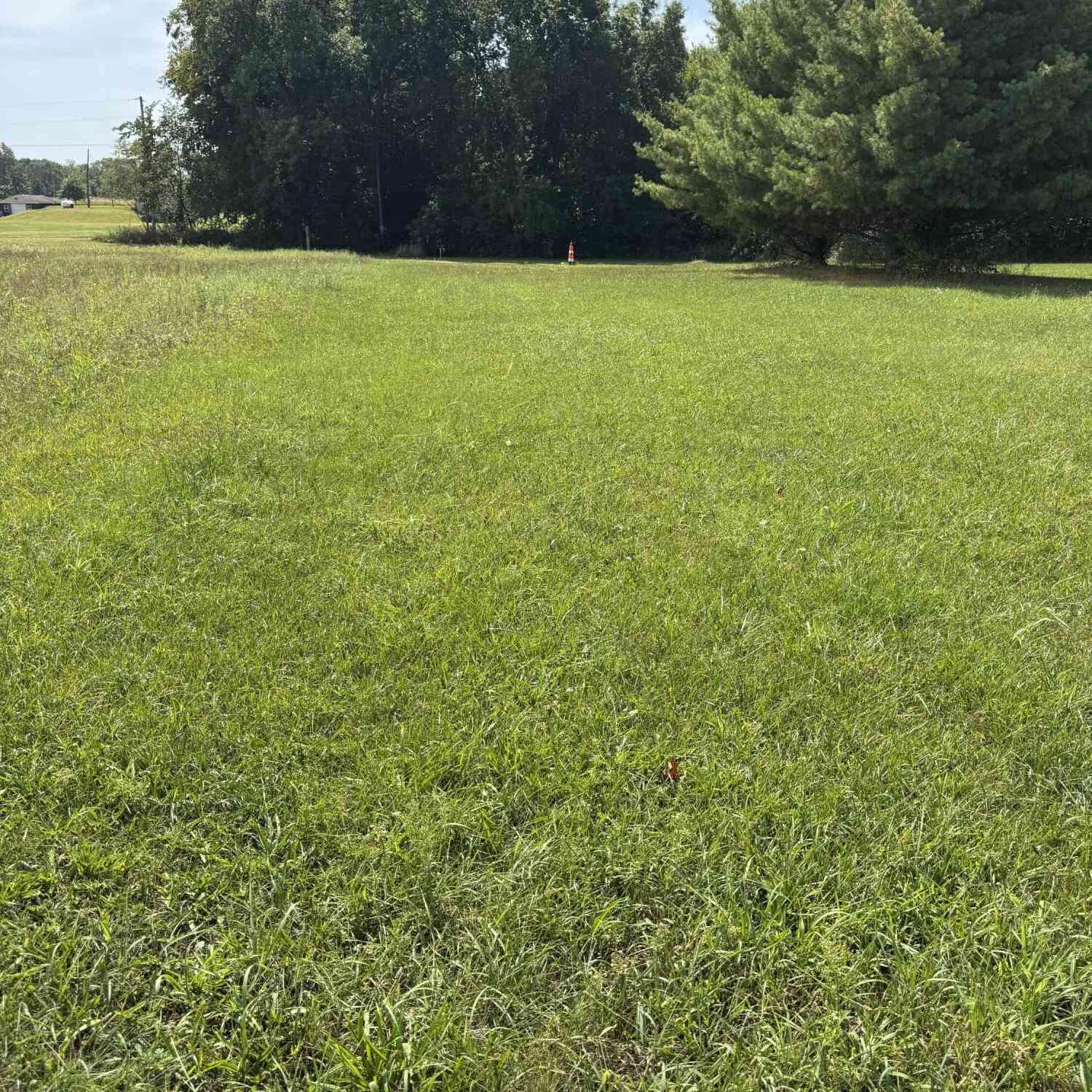 Vacant Land For Sale - VL Greenfield Road<br/> Bronson, MI 49028