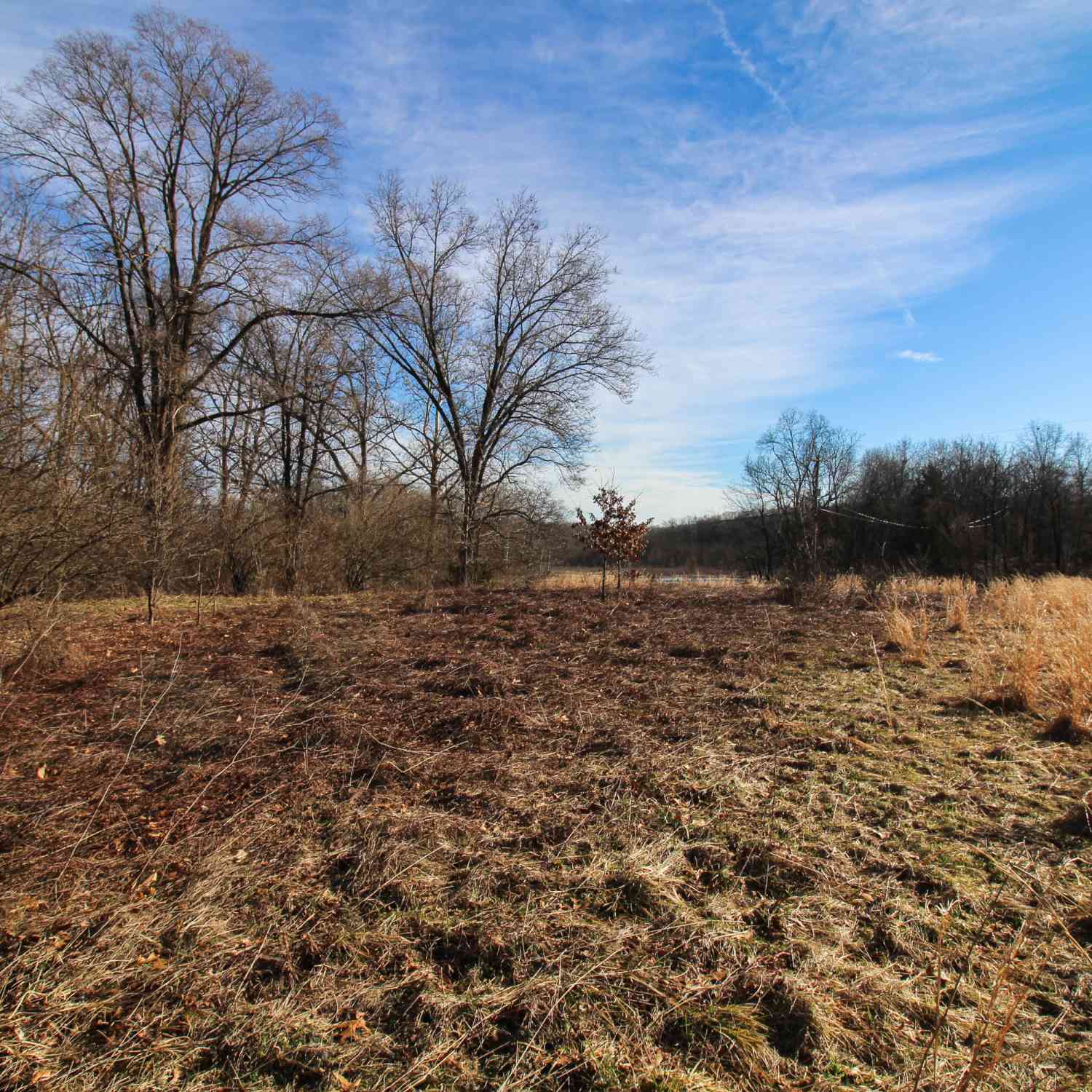 Vacant Land For Sale - Shorewood Lot 1 Drive<br/> Three Rivers, MI 49093