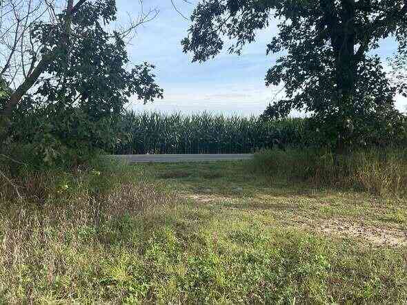Vacant Land For Sale - 0 V/L Warner Road<br/> Concord, MI 49237