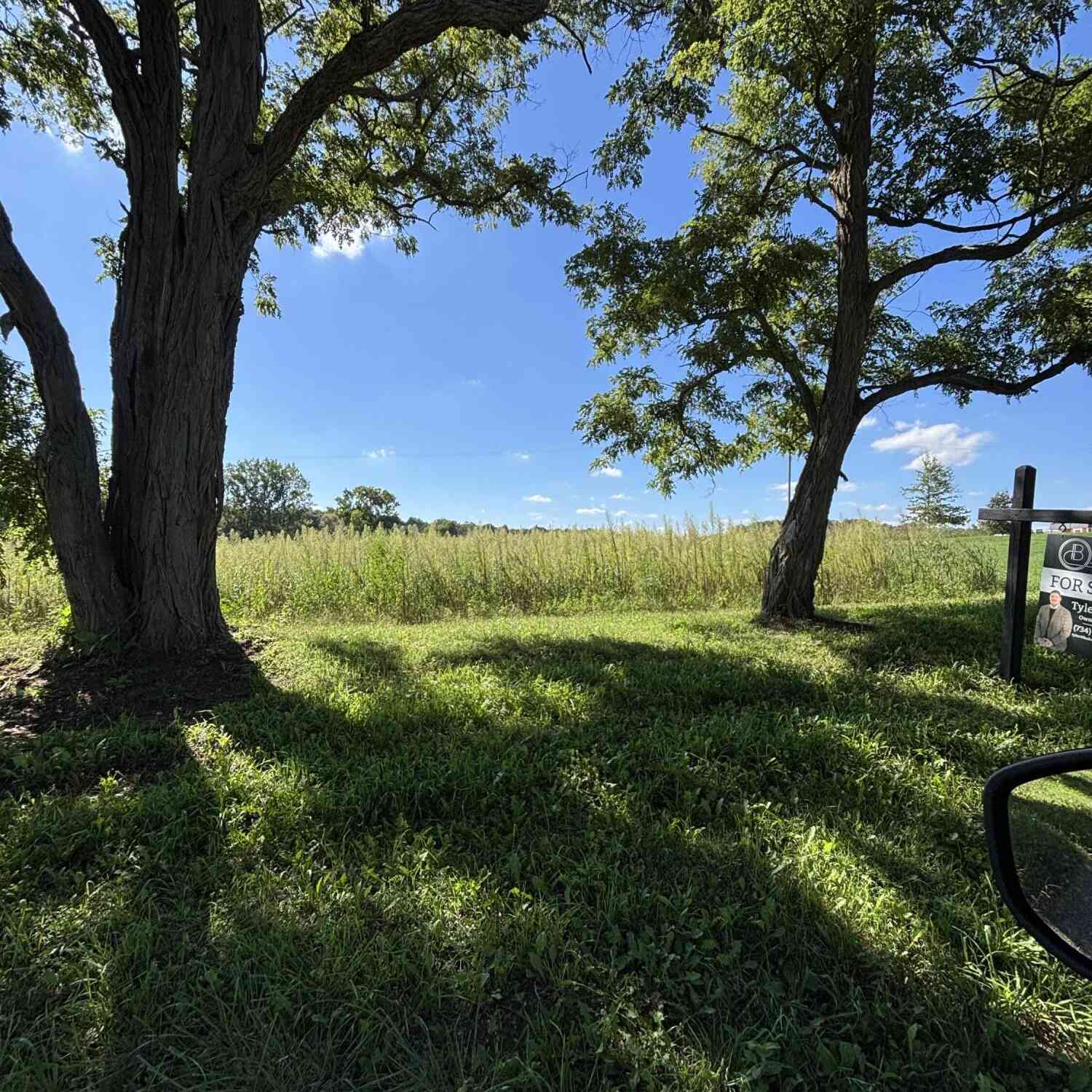 Vacant Land For Sale - Mooreville Road<br/> Saline, MI 48176