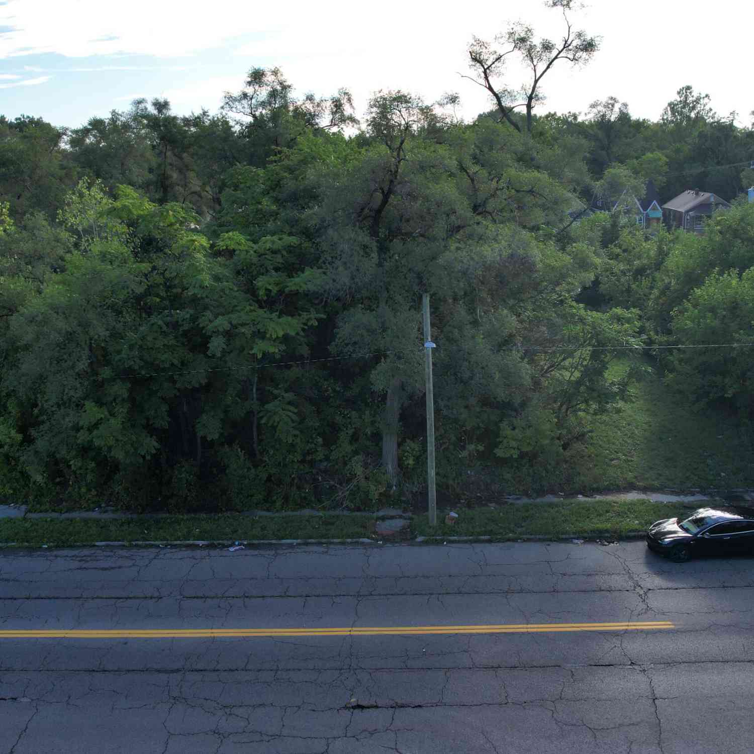 Vacant Land For Sale - 17280 Dequindre Street<br/> Detroit, MI 48212