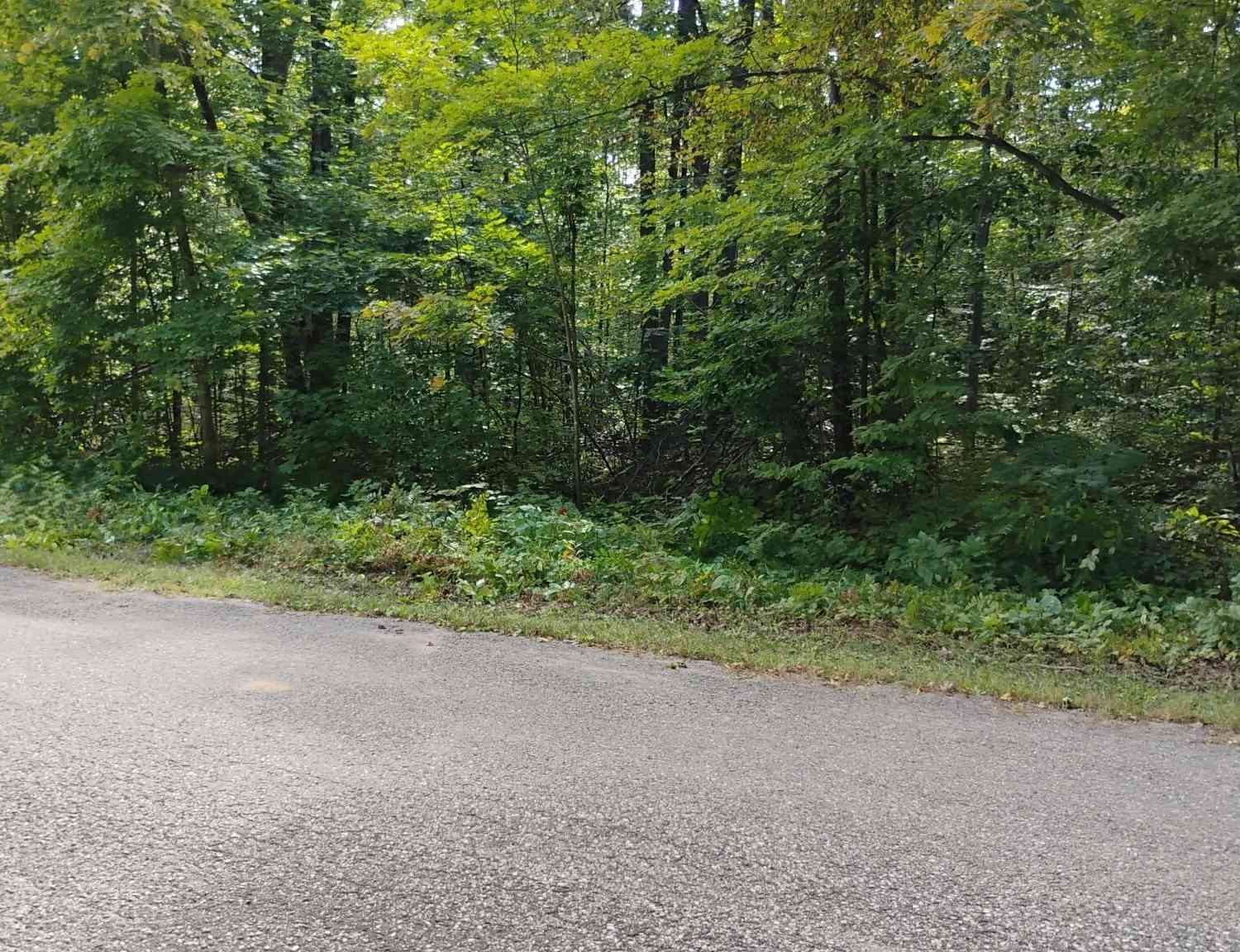 Vacant Land For Sale - Valleyridge Circle<br/> Alba, MI 49611