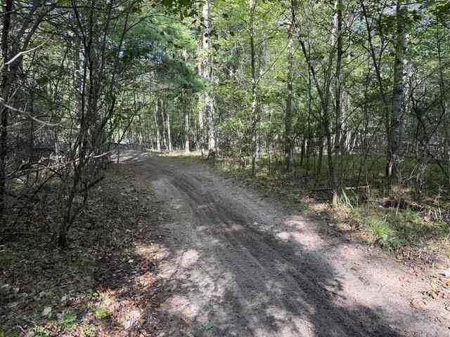 Vacant Land For Sale - V/L Timber Trail<br/> Prescott, MI 48756