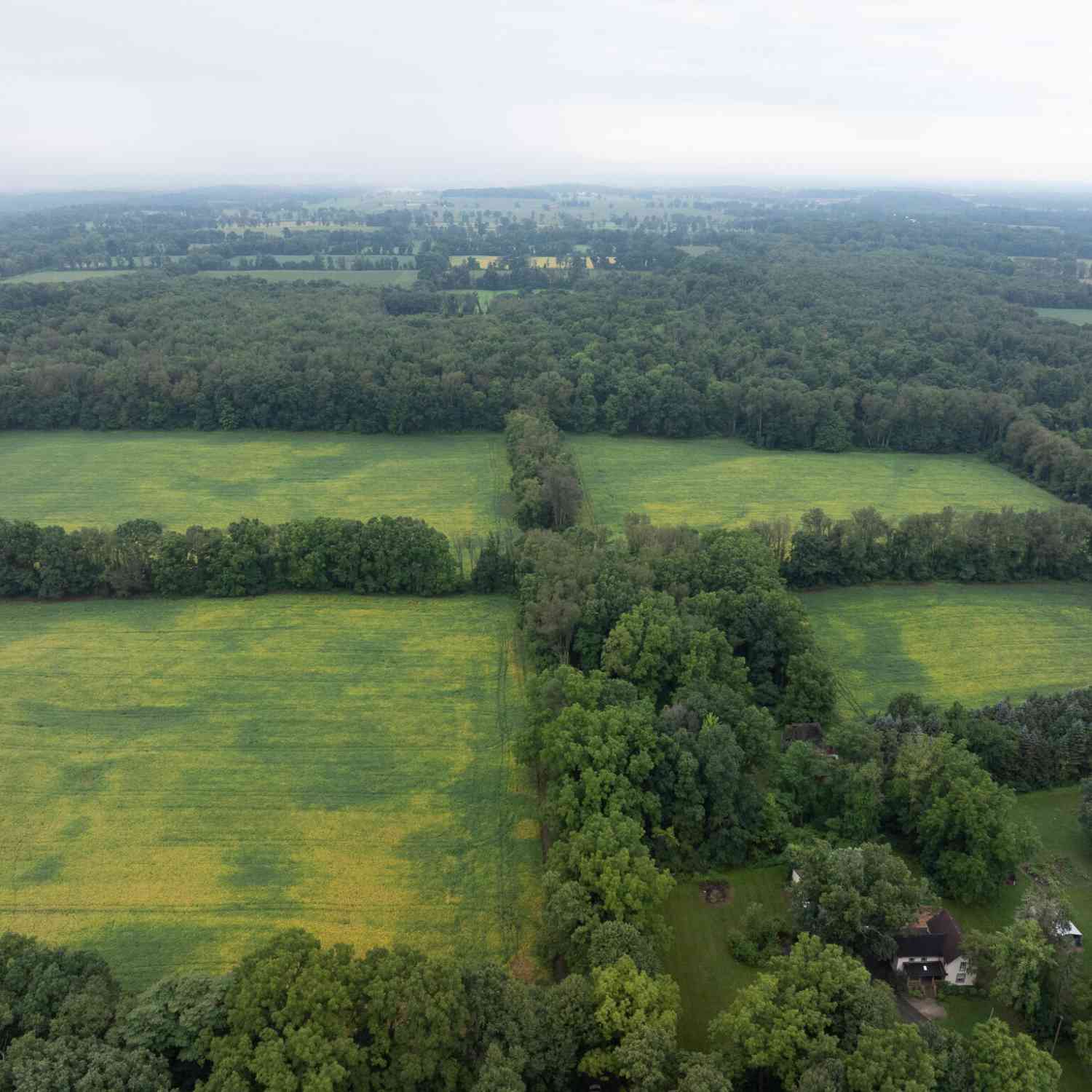 Vacant Land For Sale - 29650 D Drive<br/> Albion, MI 49224