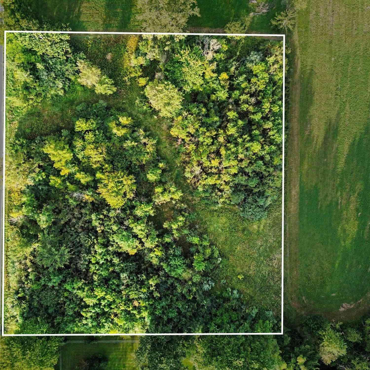 Vacant Land For Sale - 5901 Milan-oakville Road<br/> Milan, MI 48160
