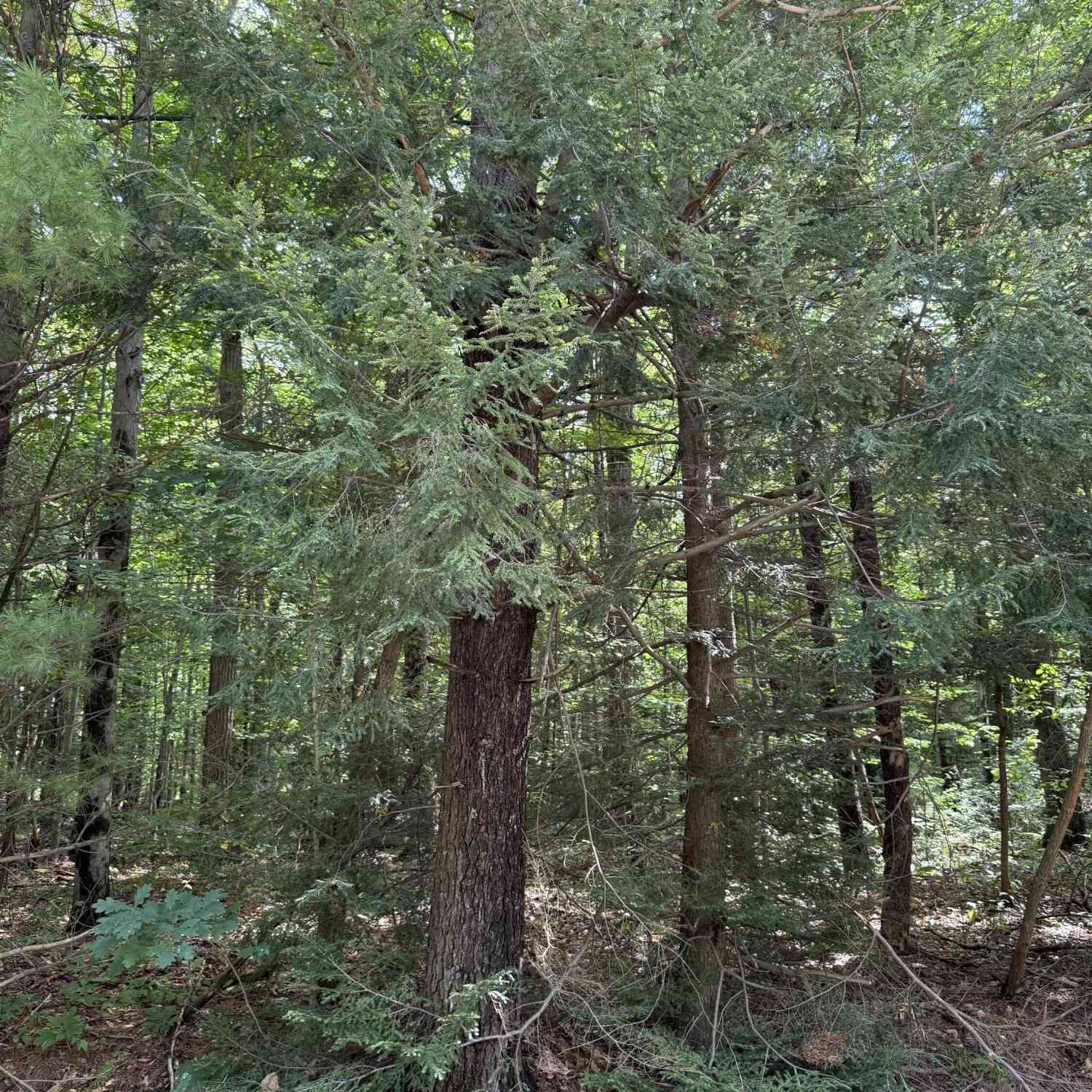Vacant Land For Sale - V/L Hyde Park Road #PARCEL B<br/> Muskegon, MI 49445