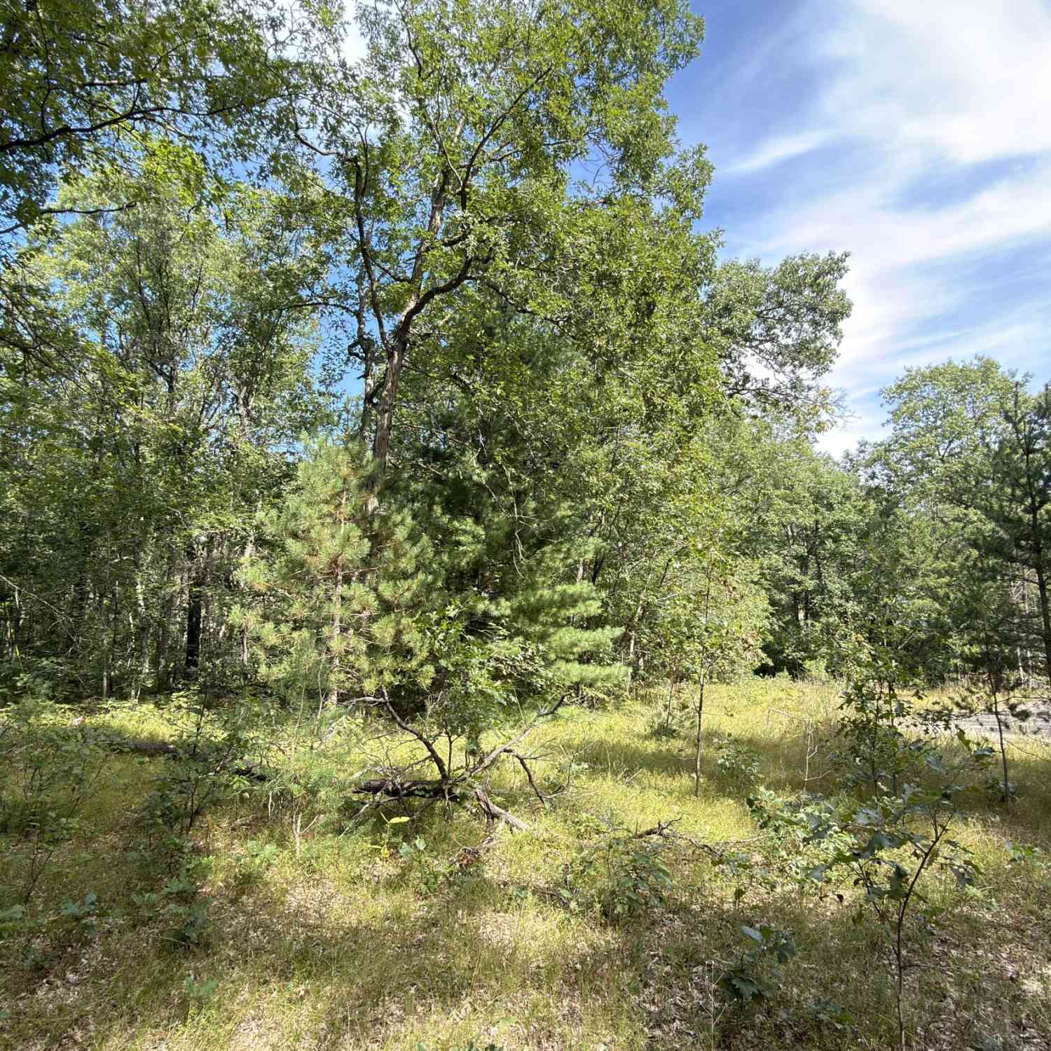 Vacant Land For Sale - 151 N Horseshoe Bend Road<br/> Manistee, MI 49660