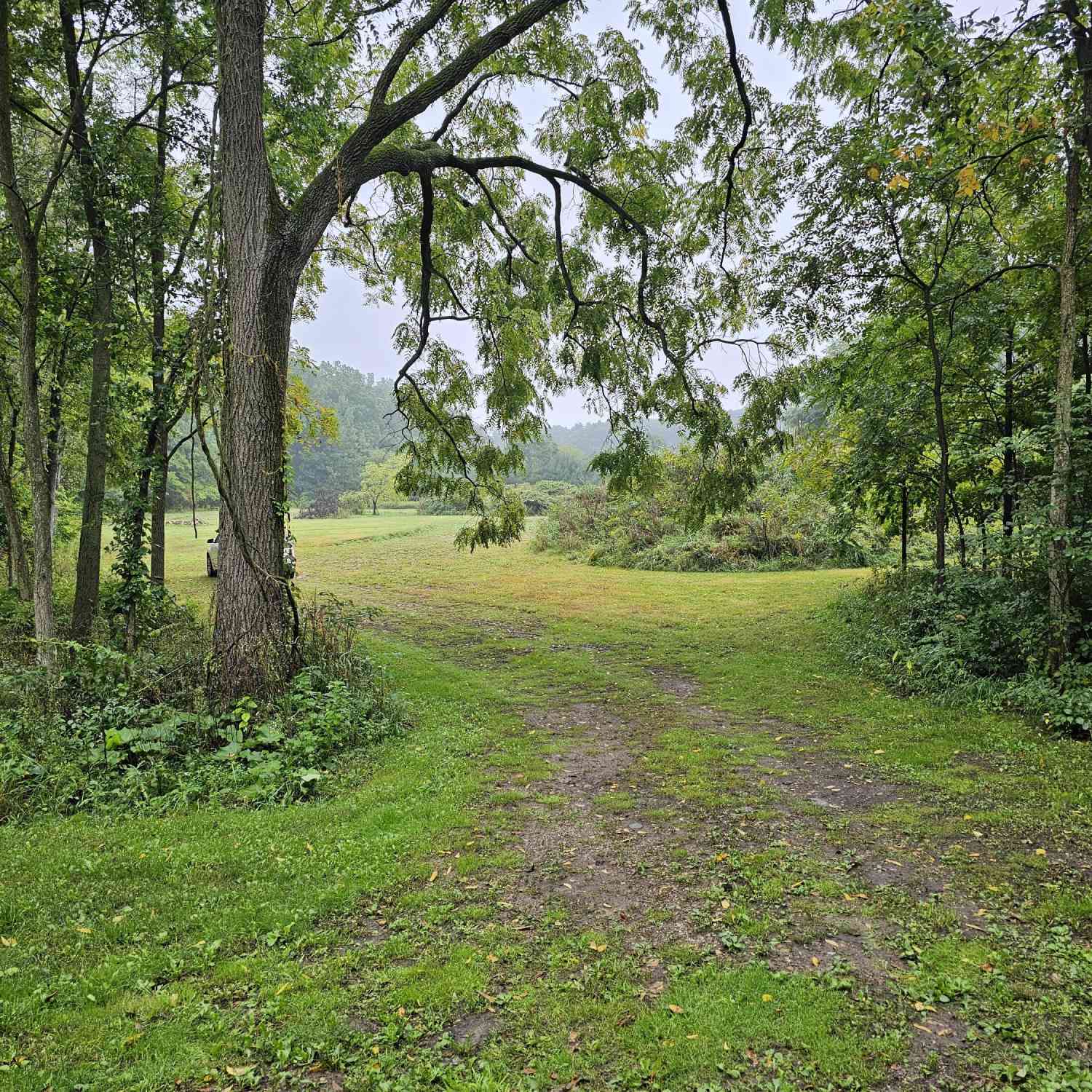 Vacant Land For Sale - Vrooman Road<br/> Jackson, MI 49201